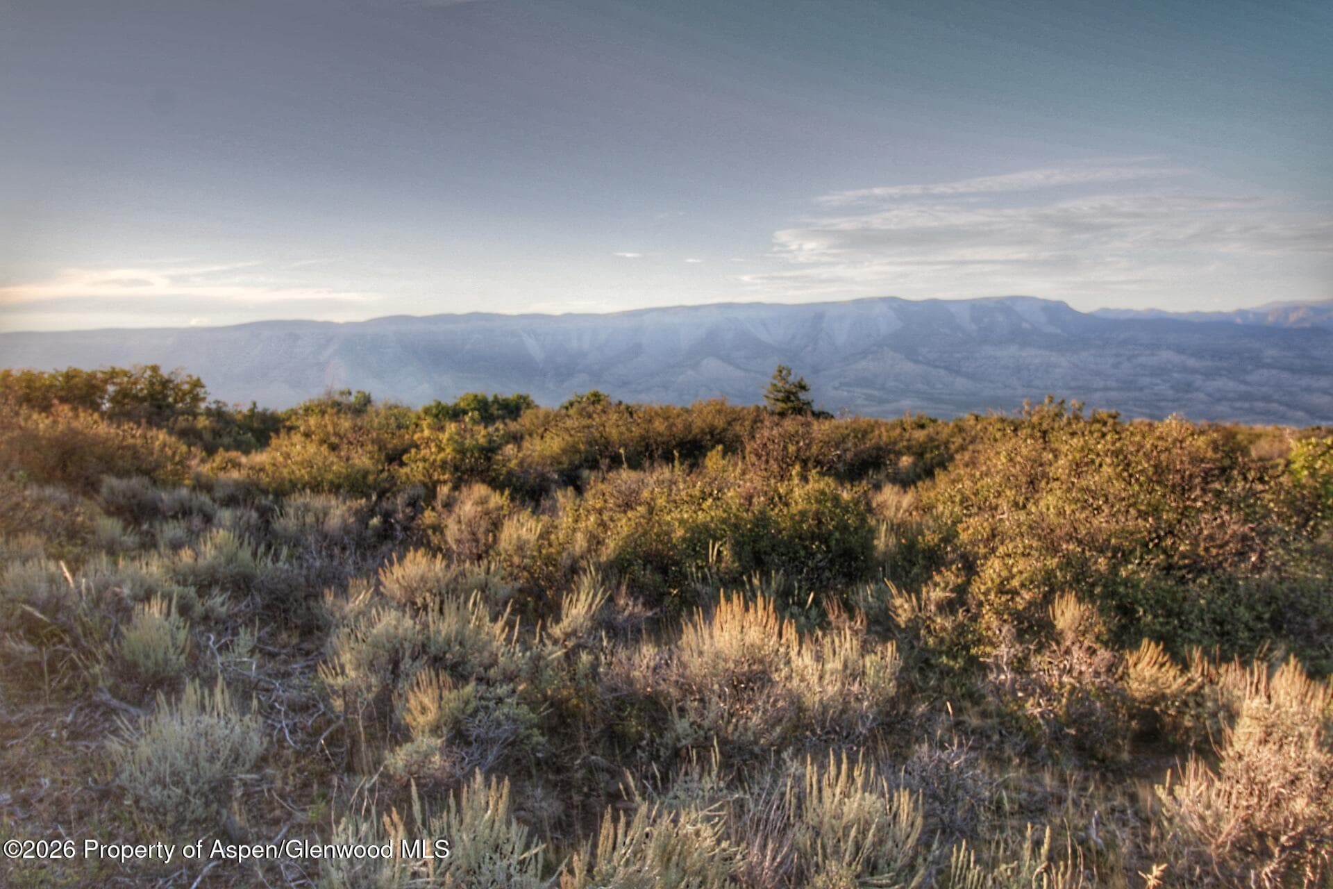 Tbd County Road 317, Rifle, CO 81650 - Photo 6