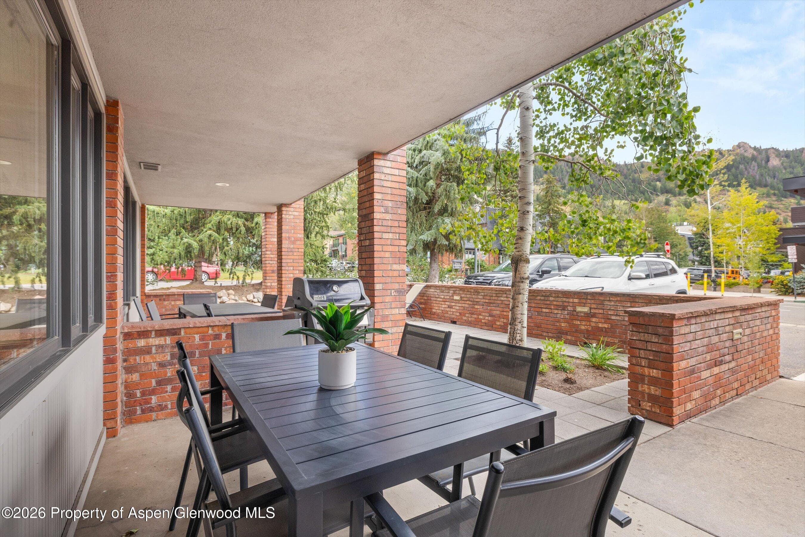 450 S Original Street 4, Aspen, CO 81611 - Photo 11