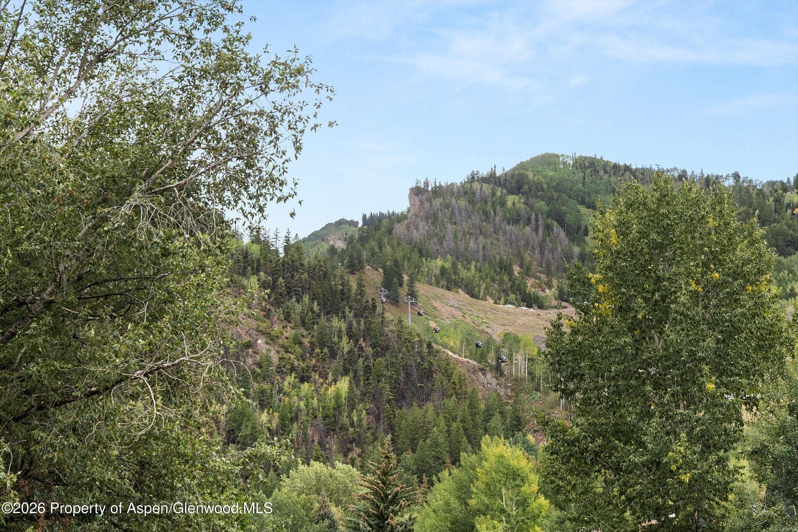 450 S Original Street 4, Aspen, CO 81611 - Photo 15