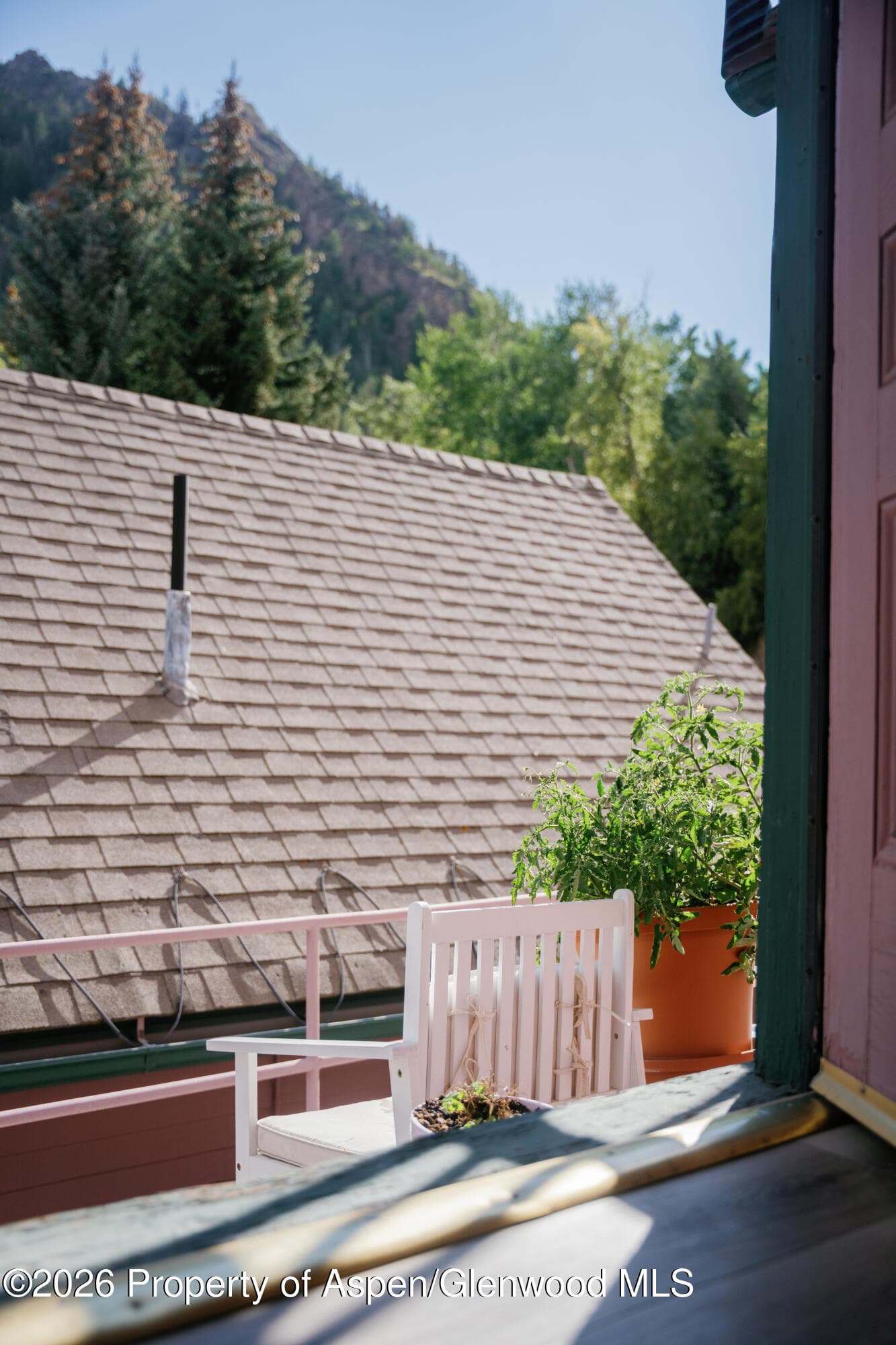 333 W Main Street B/2, Aspen, CO 81611