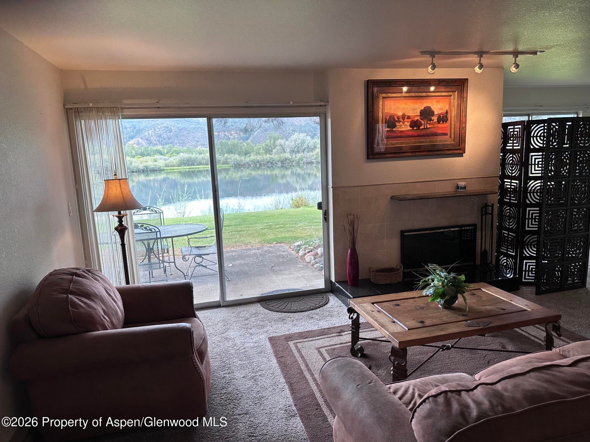14913 Hwy 82, Unit 108, Carbondale, CO 81623 - Photo 3