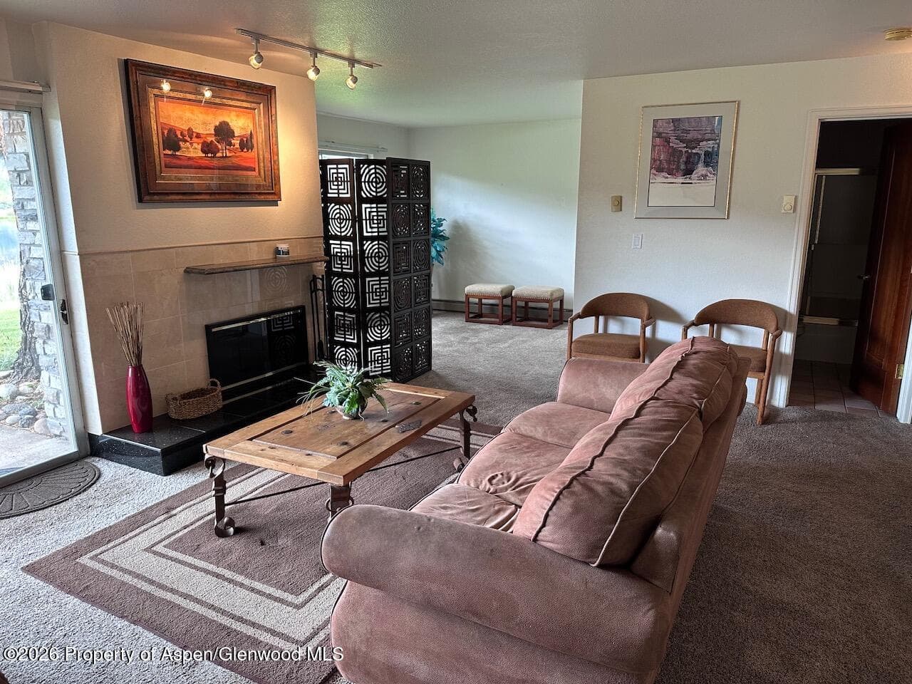 14913 Hwy 82, Unit 108, Carbondale, CO 81623 - Photo 4