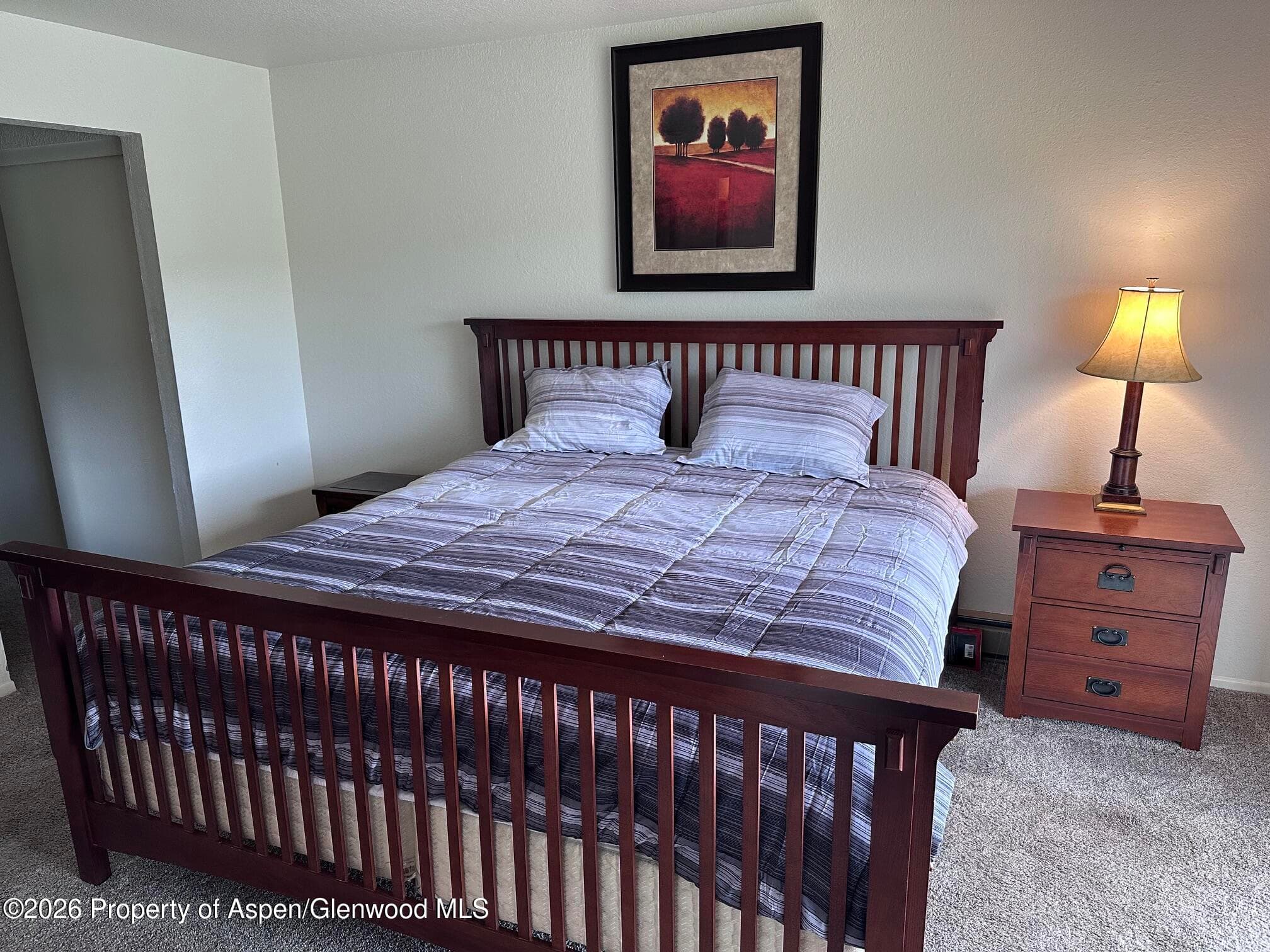 14913 Hwy 82, Unit 108, Carbondale, CO 81623 - Photo 5