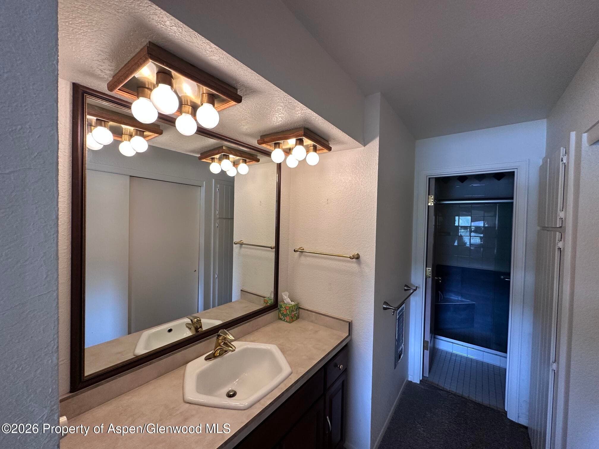14913 Hwy 82, Unit 108, Carbondale, CO 81623 - Photo 6