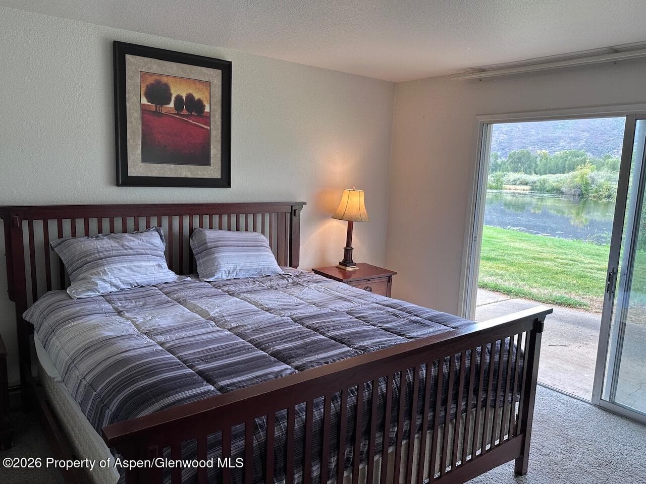 14913 Hwy 82, Unit 108, Carbondale, CO 81623 - Photo 7