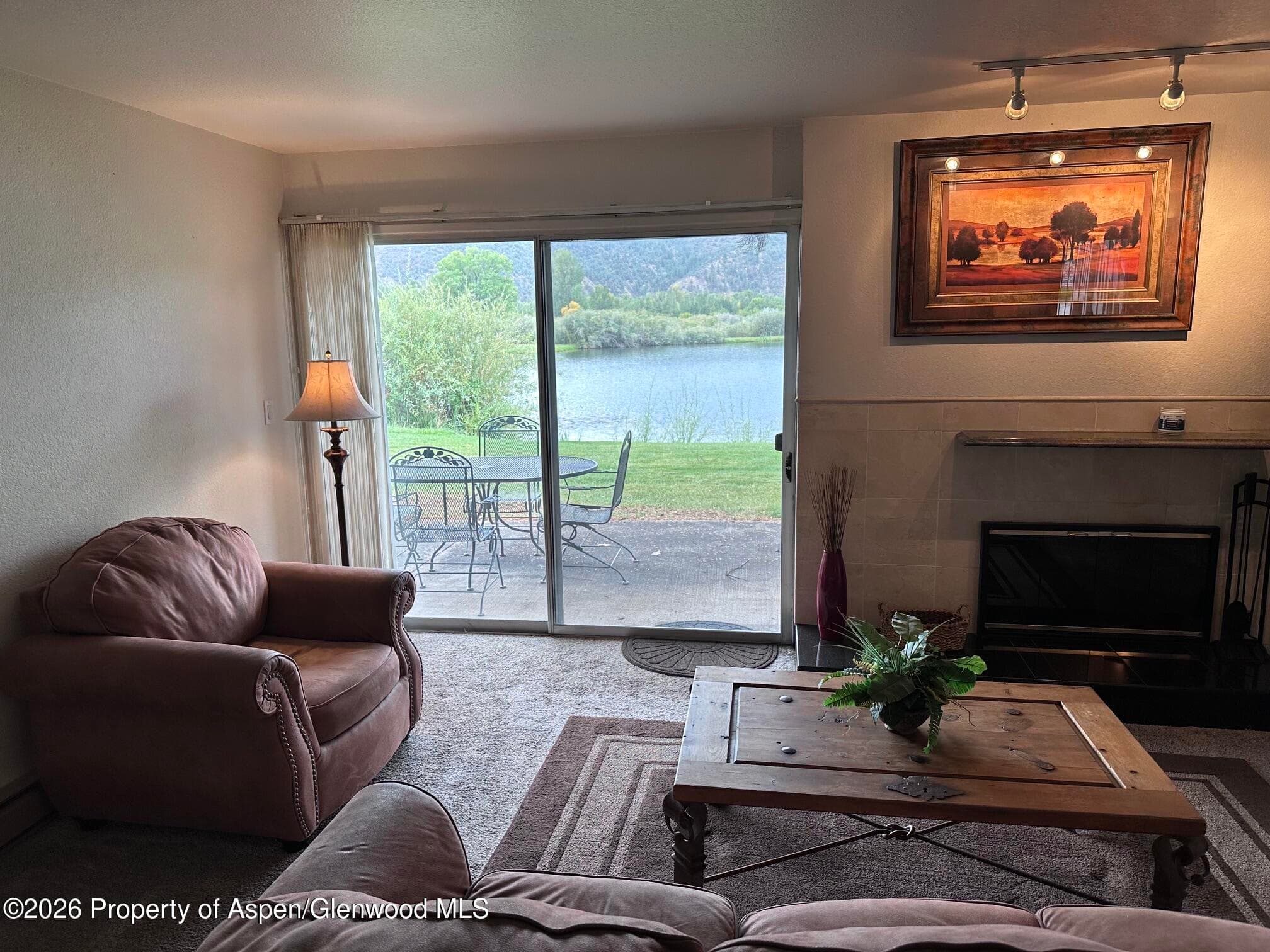 14913 Hwy 82, Unit 108, Carbondale, CO 81623 - Photo 10