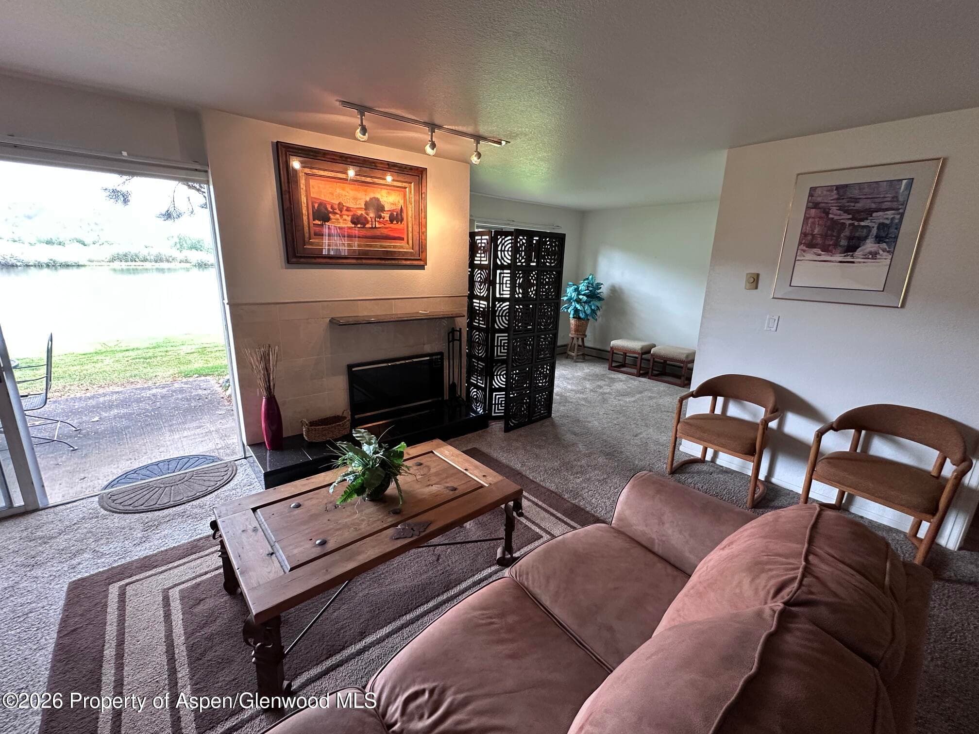 14913 Hwy 82, Unit 108, Carbondale, CO 81623 - Photo 11