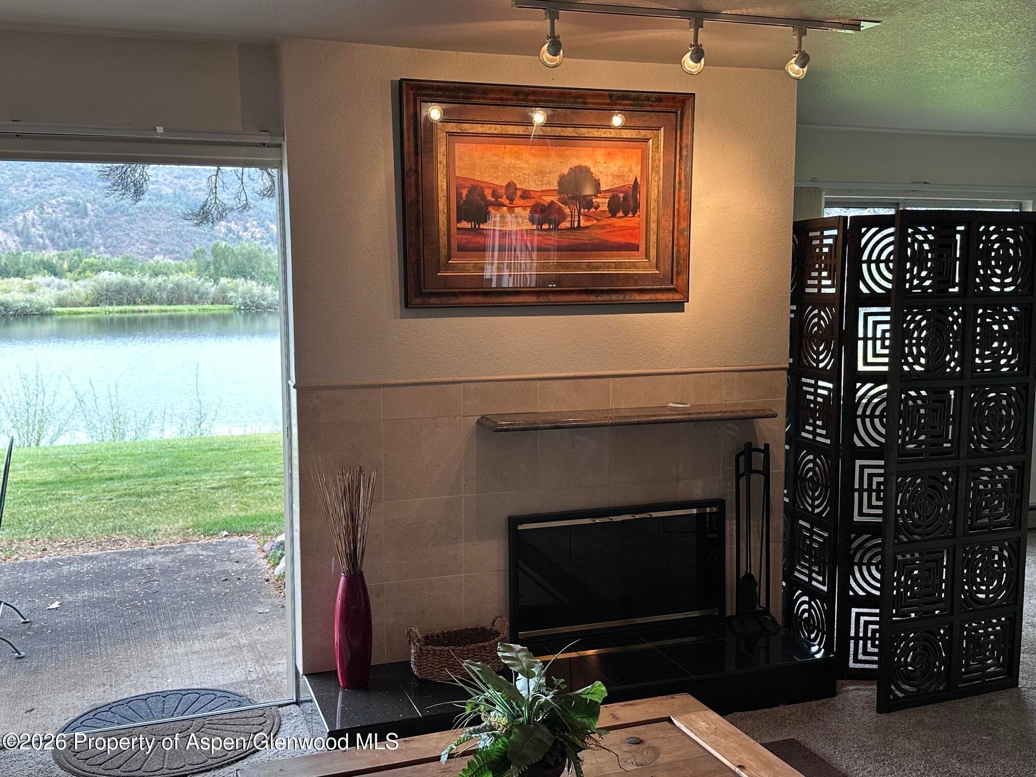 14913 Hwy 82, Unit 108, Carbondale, CO 81623 - Photo 12