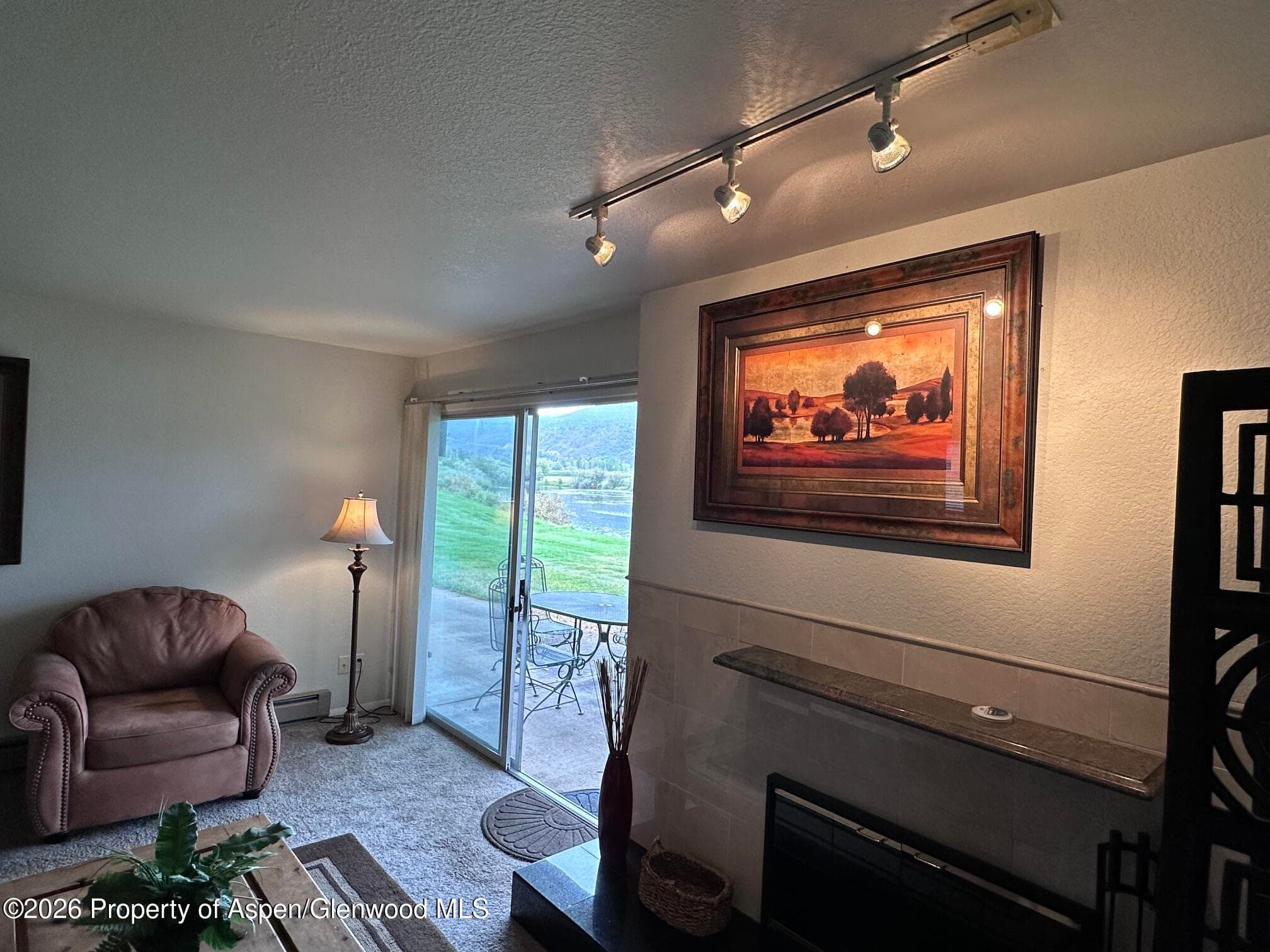 14913 Hwy 82, Unit 108, Carbondale, CO 81623 - Photo 14