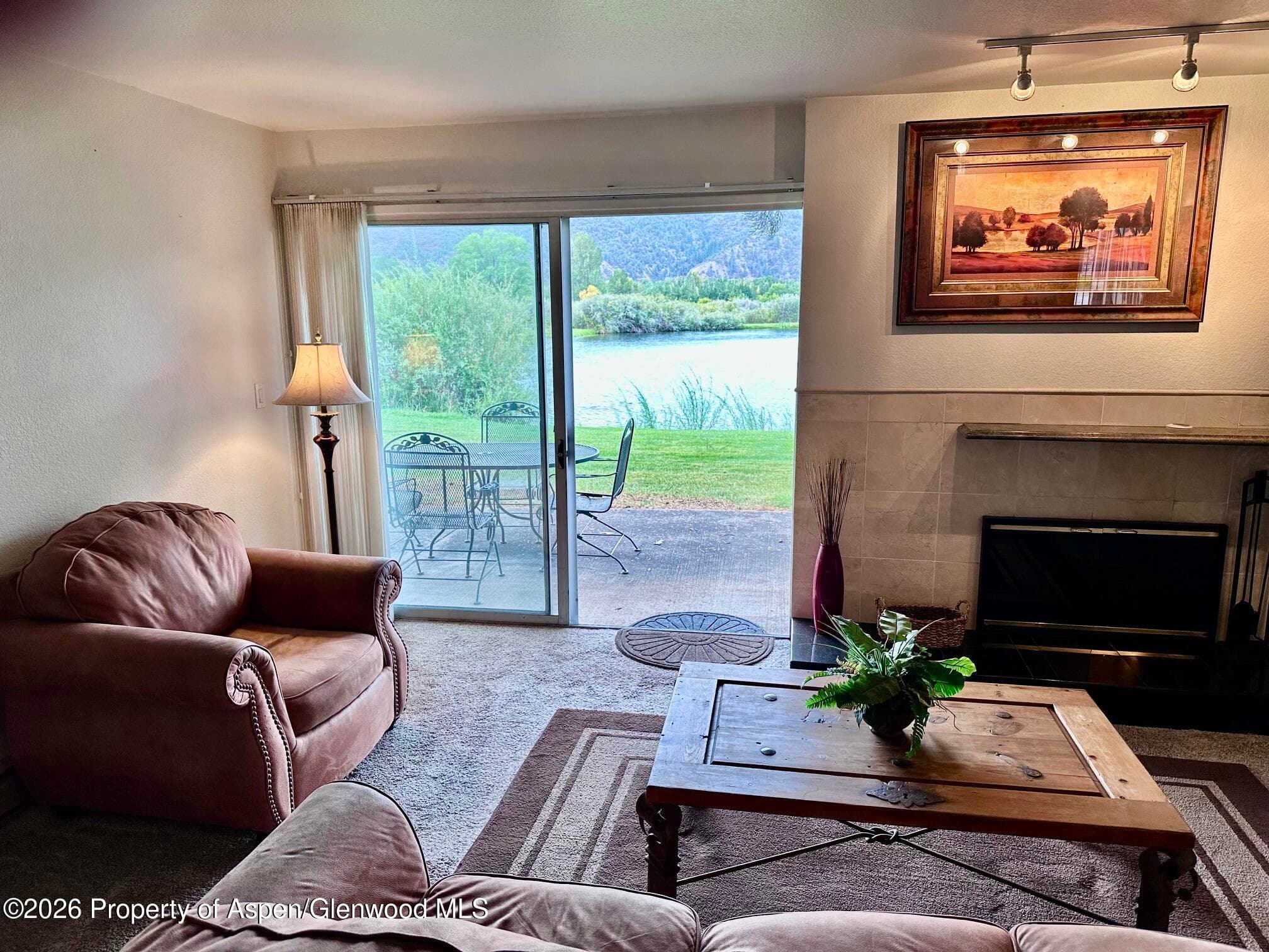 14913 Hwy 82, Unit 108, Carbondale, CO 81623 - Photo 21