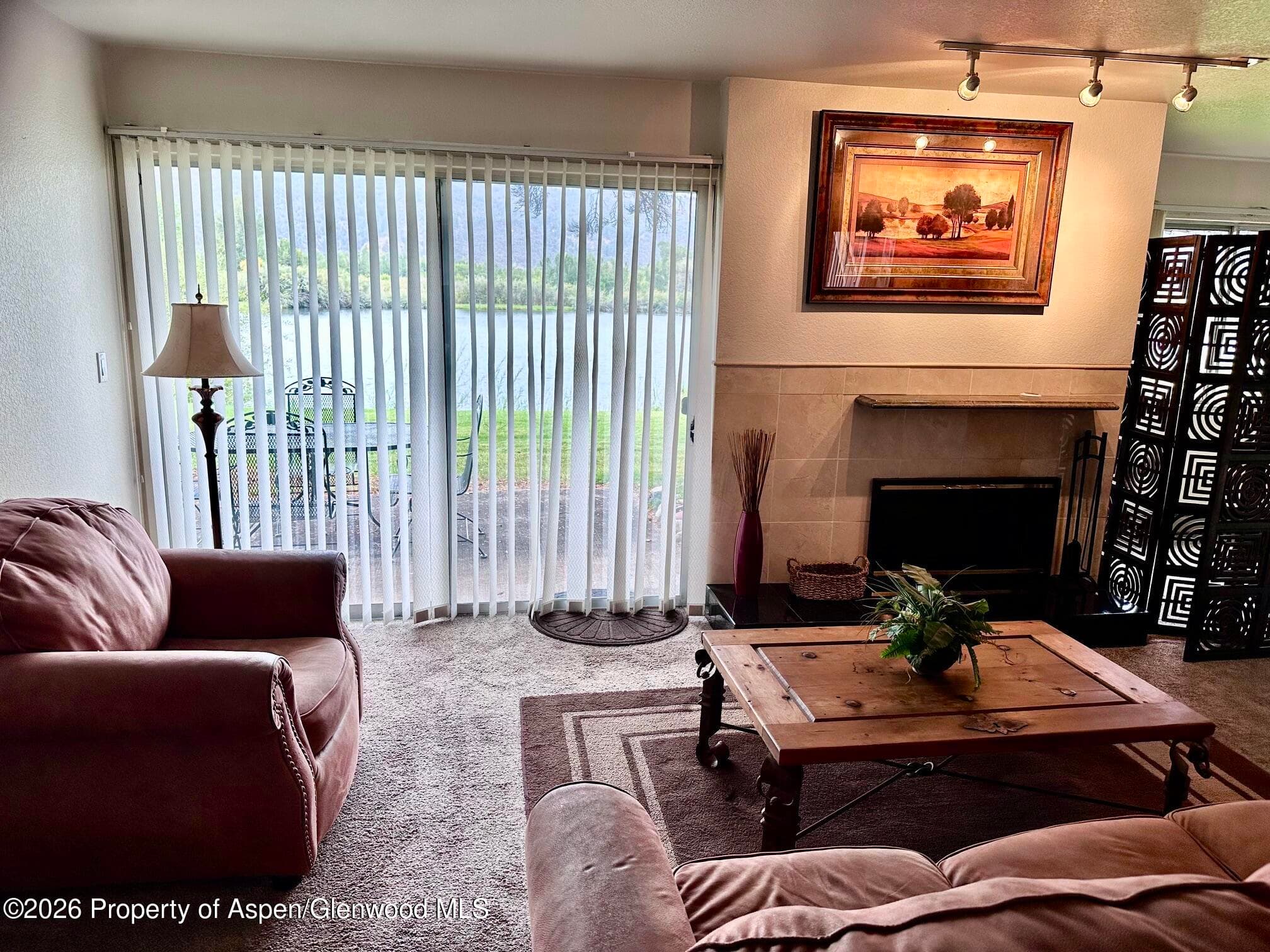 14913 Hwy 82, Unit 108, Carbondale, CO 81623 - Photo 22