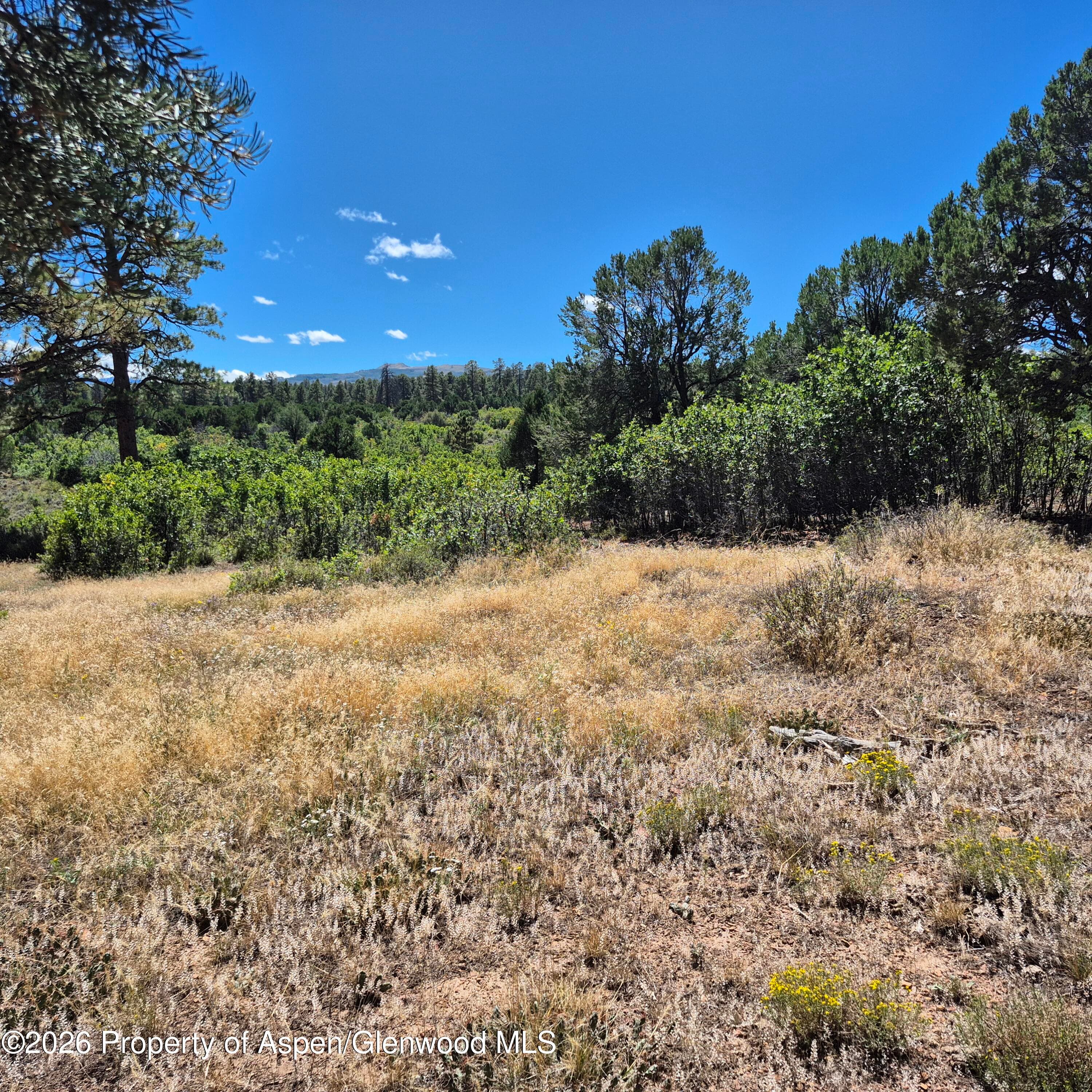 1620 Wildcat Canyon Road, Montrose, CO 81403