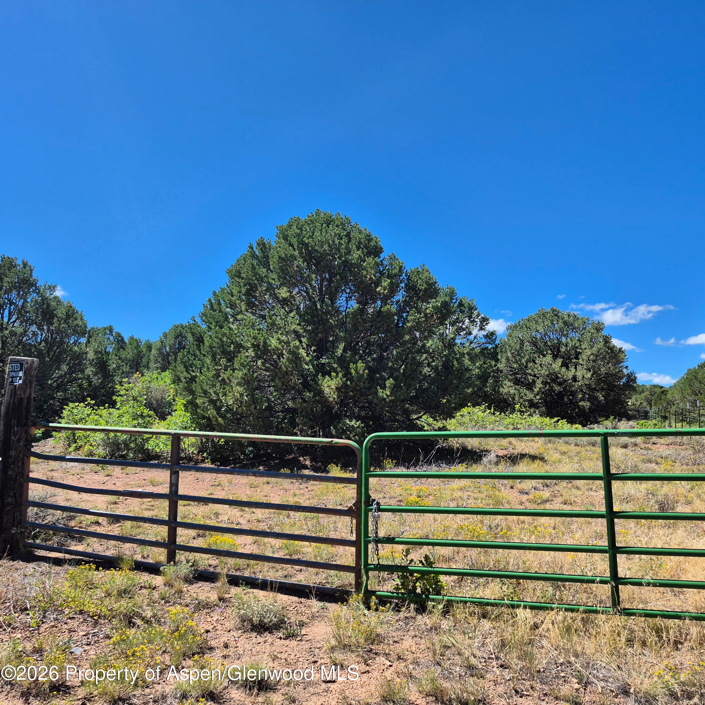 1620 Wildcat Canyon Road, Montrose, CO 81403 - Photo 2