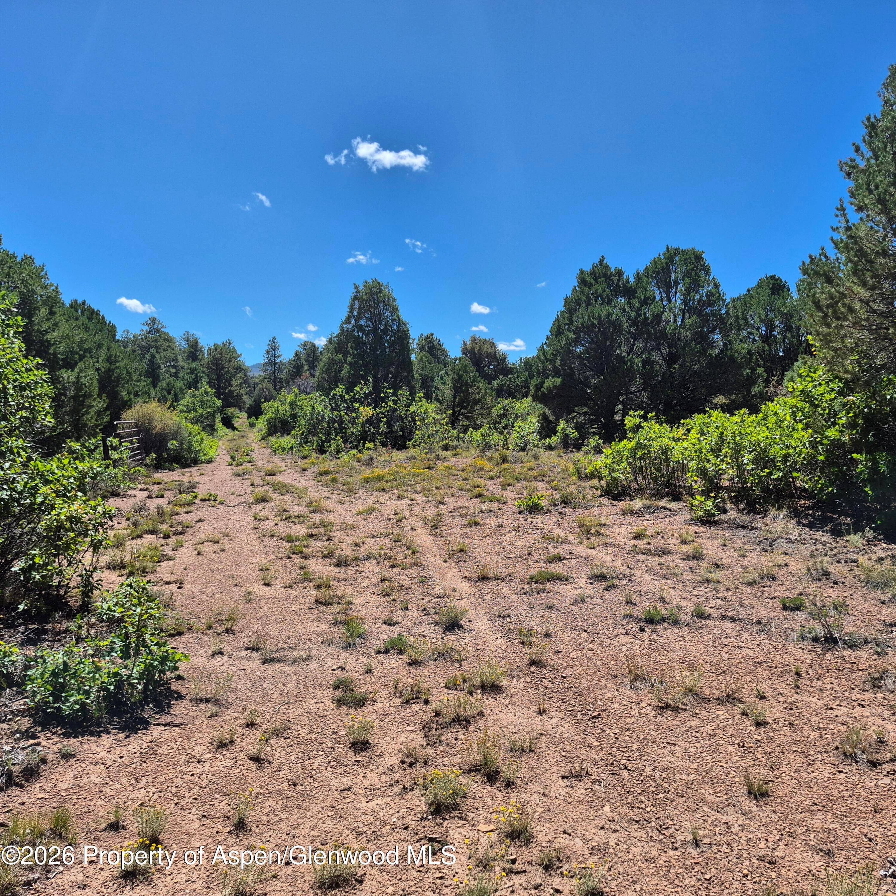 1620 Wildcat Canyon Road, Montrose, CO 81403 - Photo 3