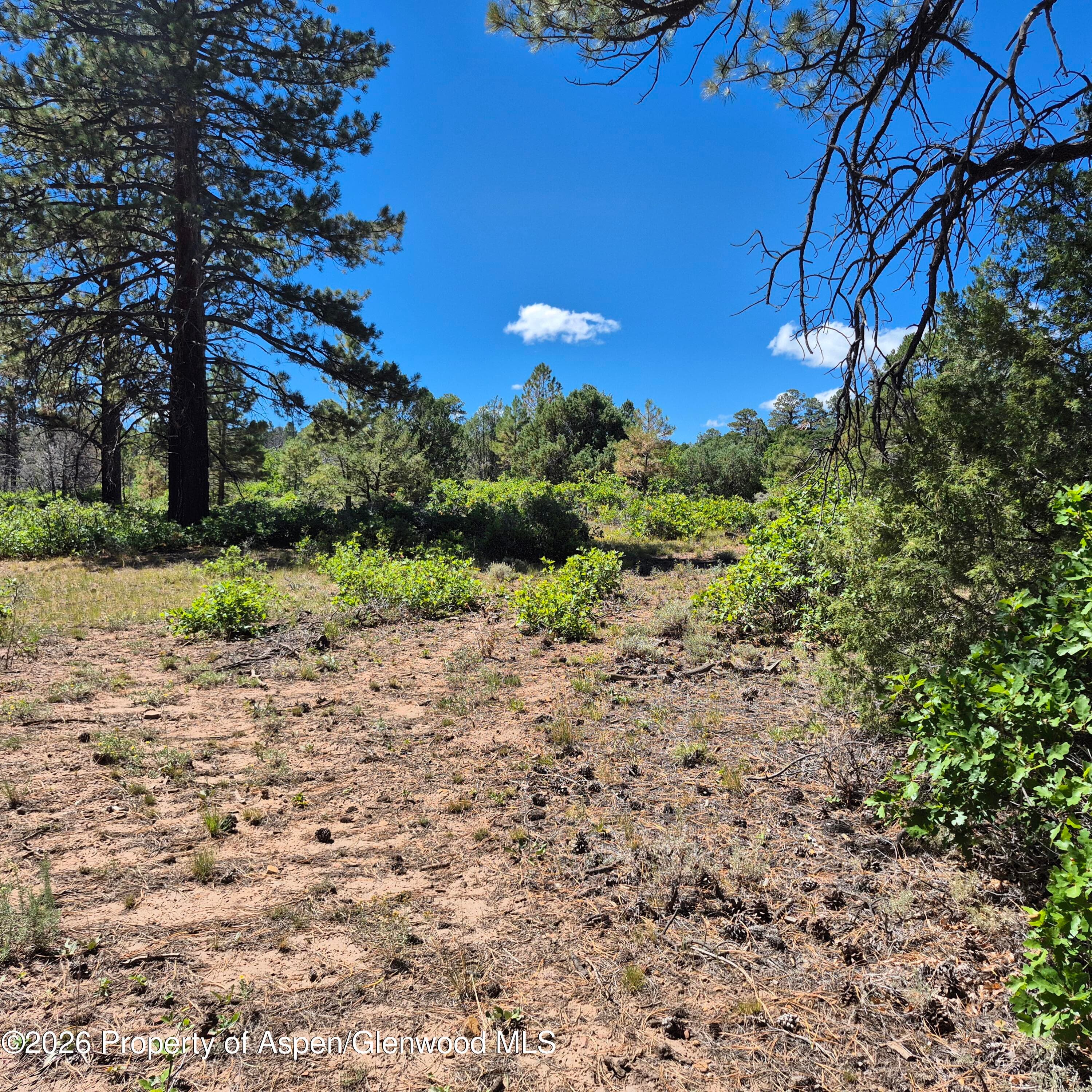 1620 Wildcat Canyon Road, Montrose, CO 81403 - Photo 4