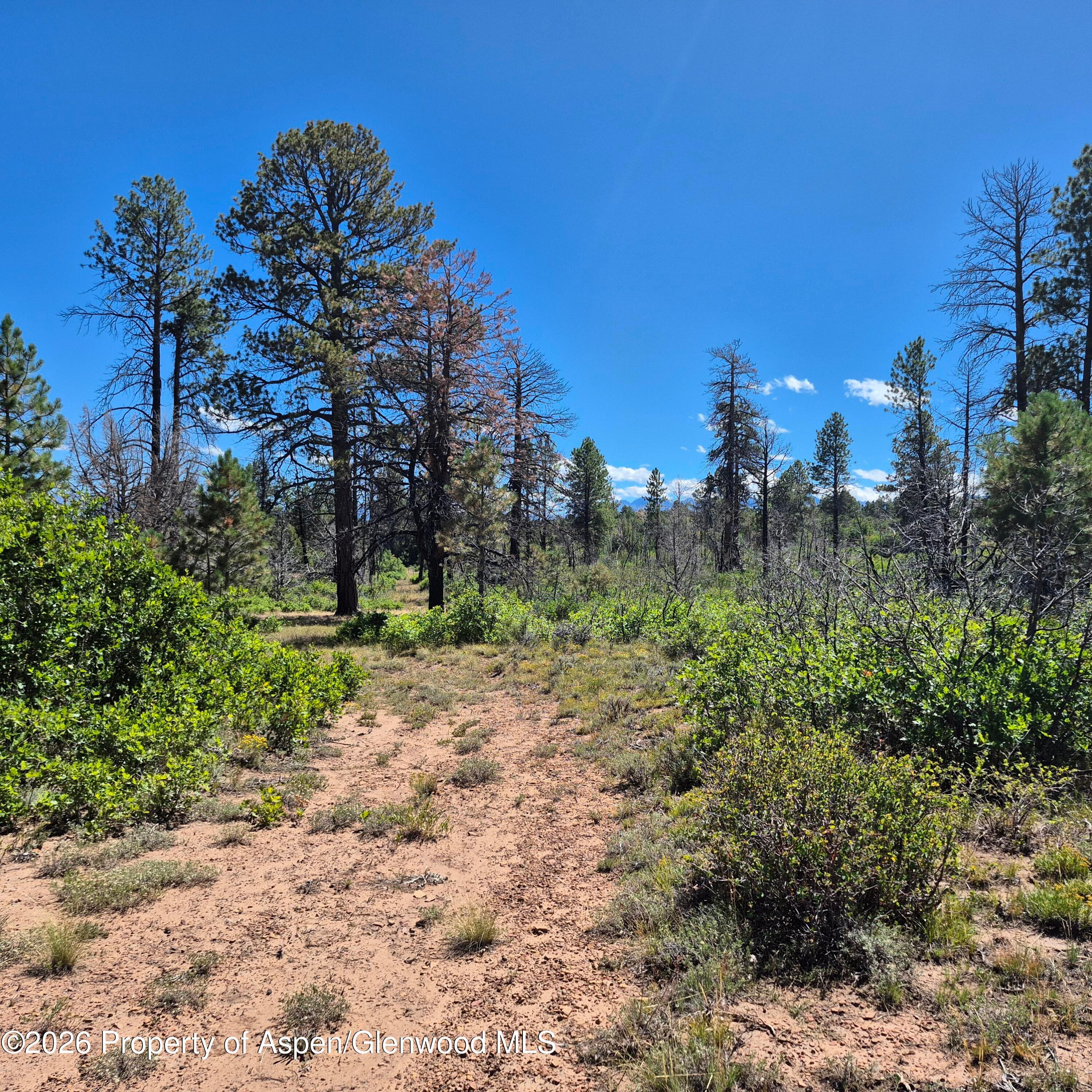 1620 Wildcat Canyon Road, Montrose, CO 81403 - Photo 10