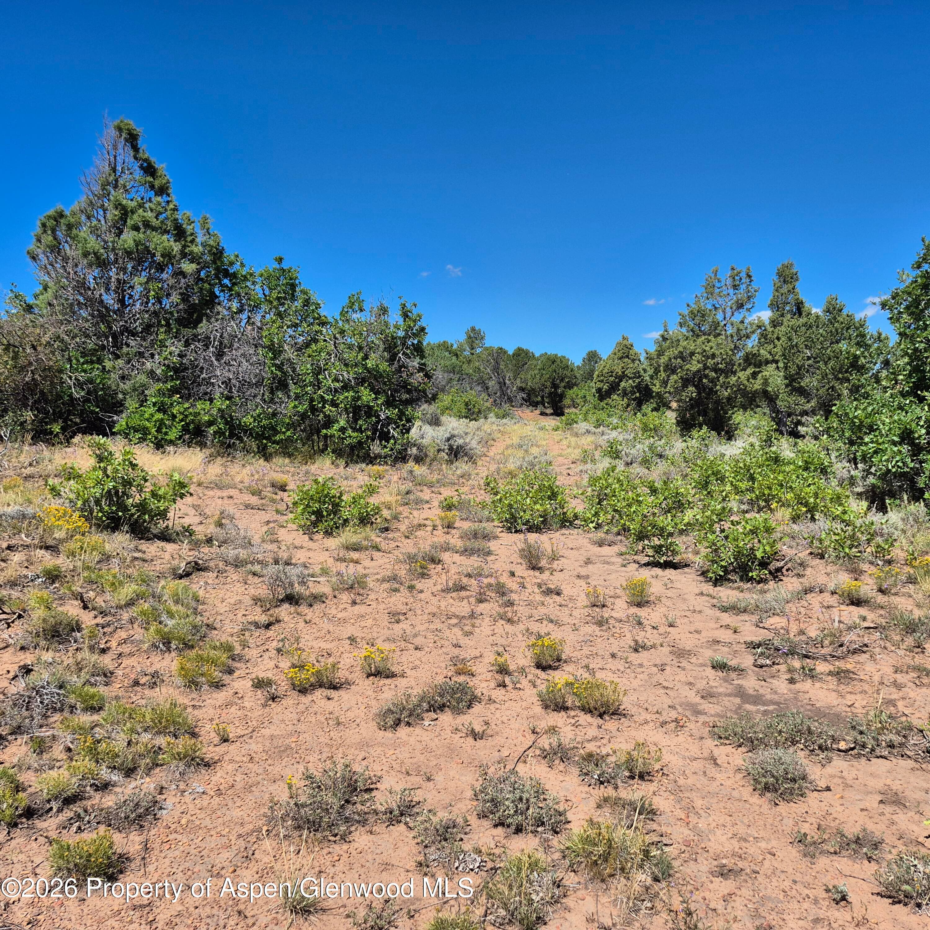 1620 Wildcat Canyon Road, Montrose, CO 81403 - Photo 11