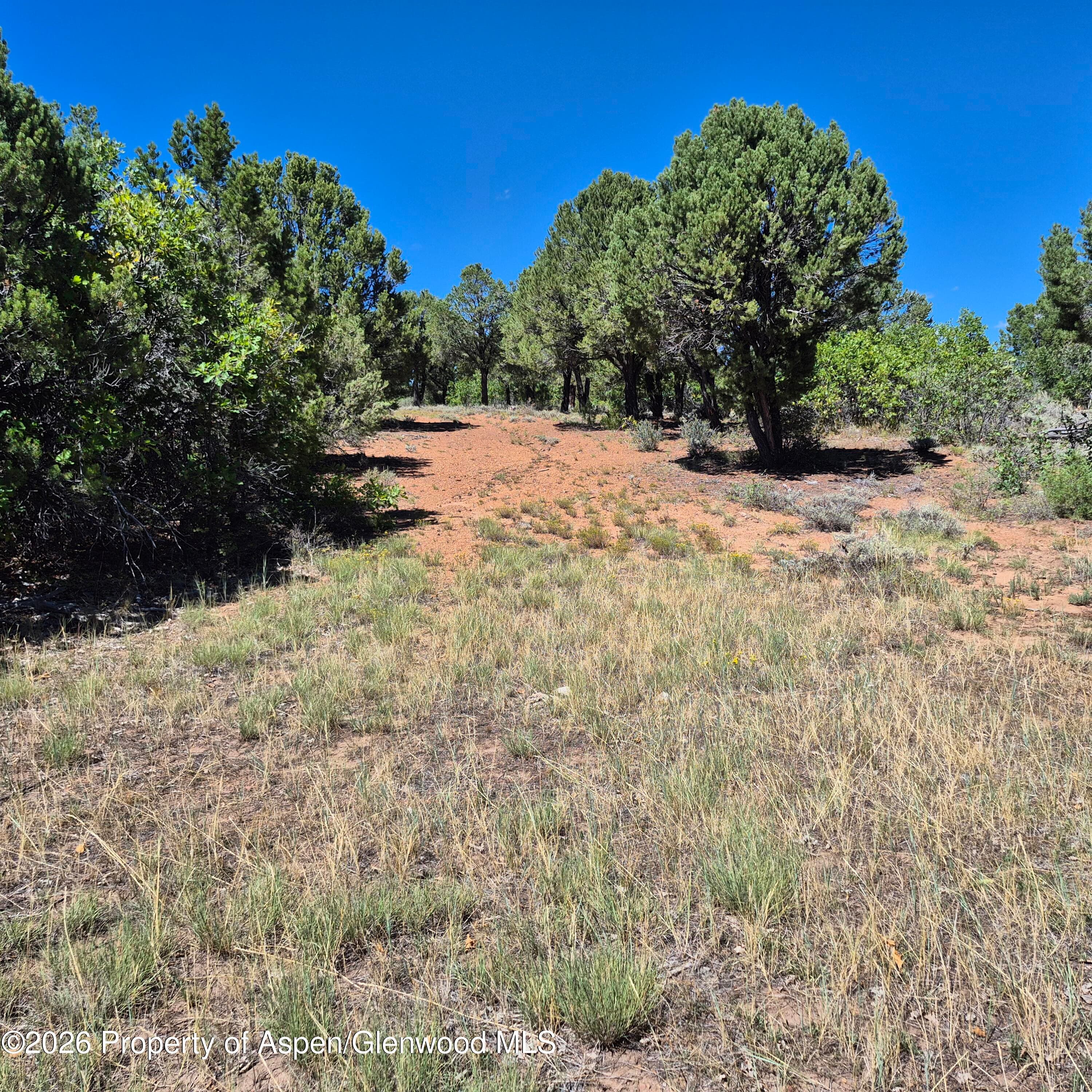1620 Wildcat Canyon Road, Montrose, CO 81403 - Photo 12