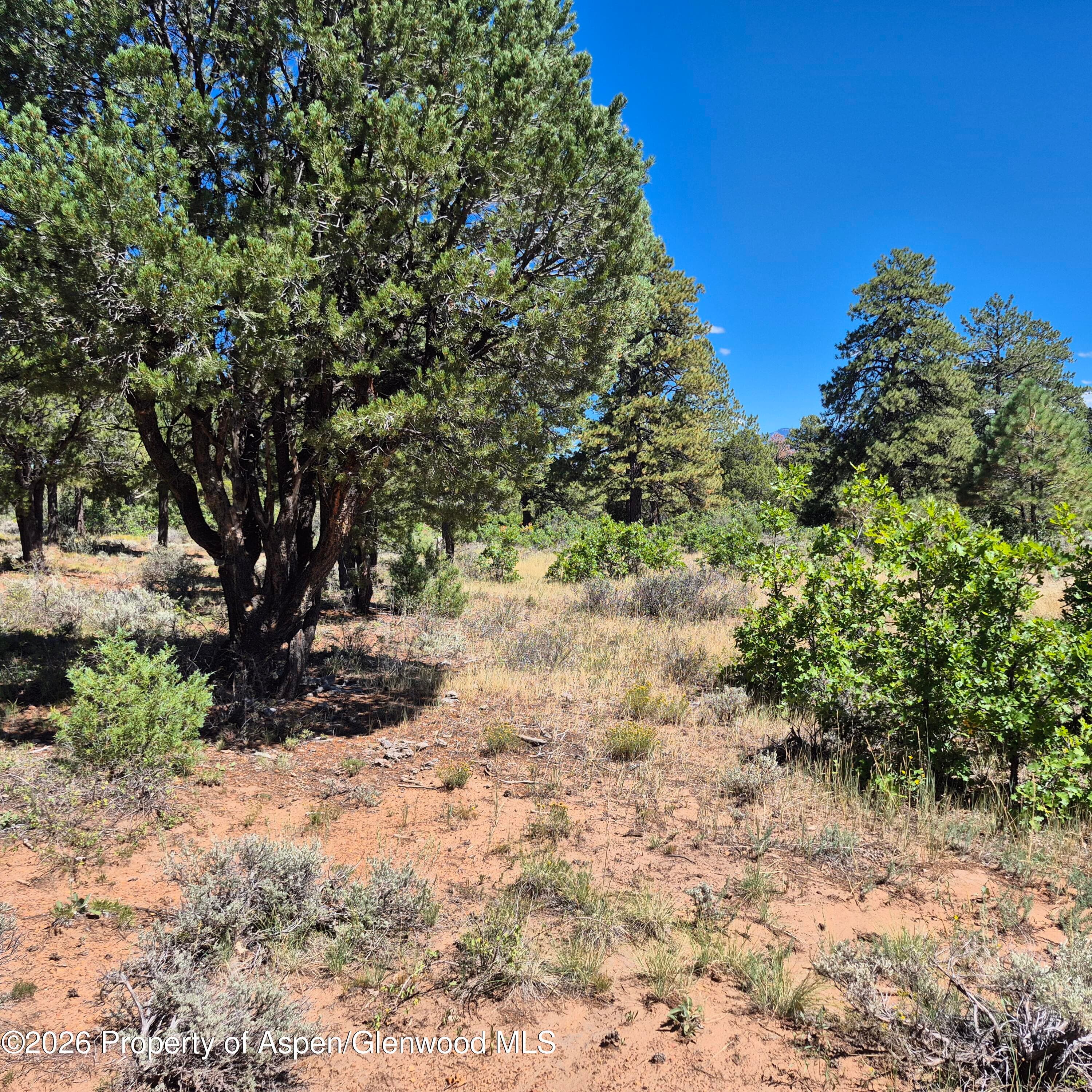1620 Wildcat Canyon Road, Montrose, CO 81403 - Photo 13