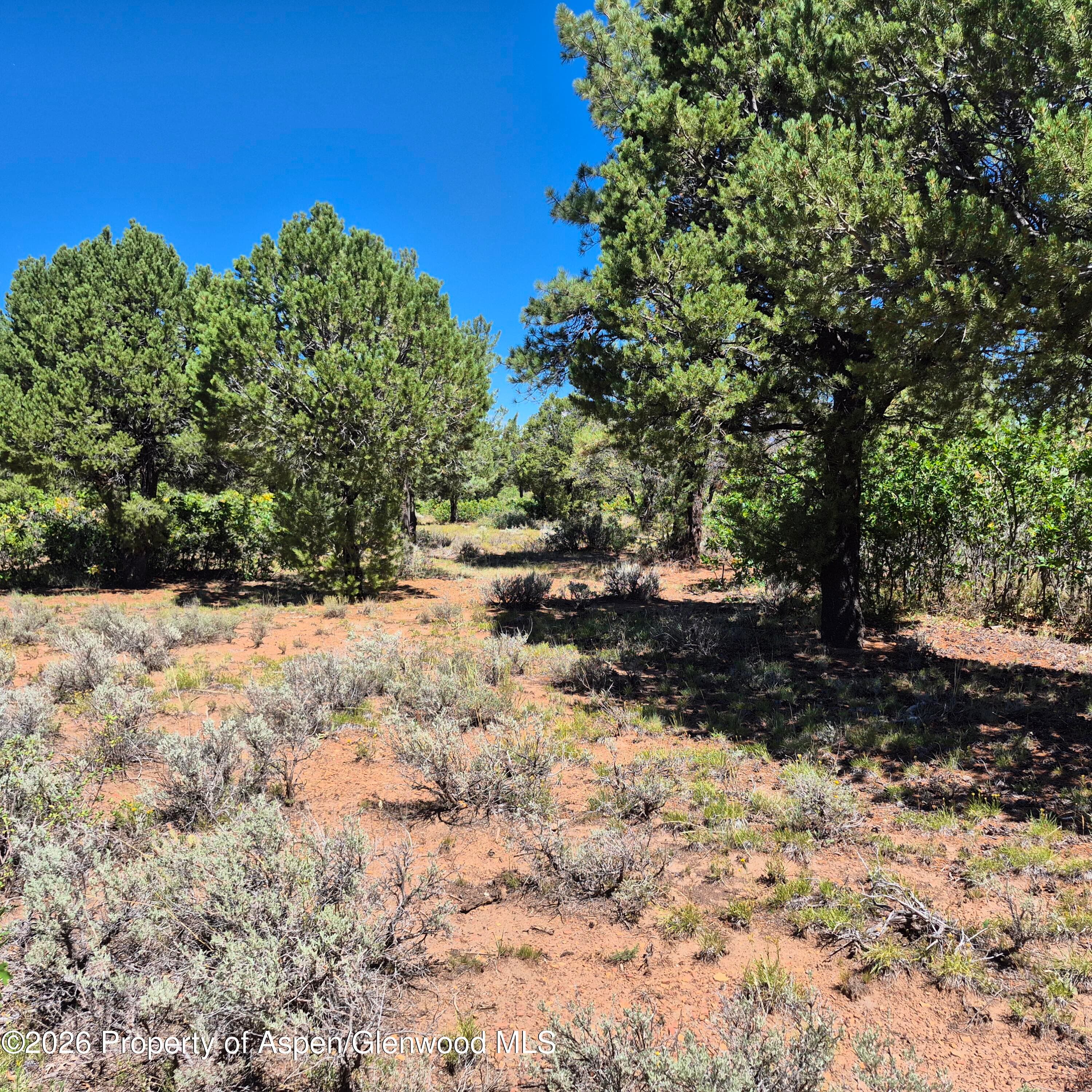 1620 Wildcat Canyon Road, Montrose, CO 81403 - Photo 14
