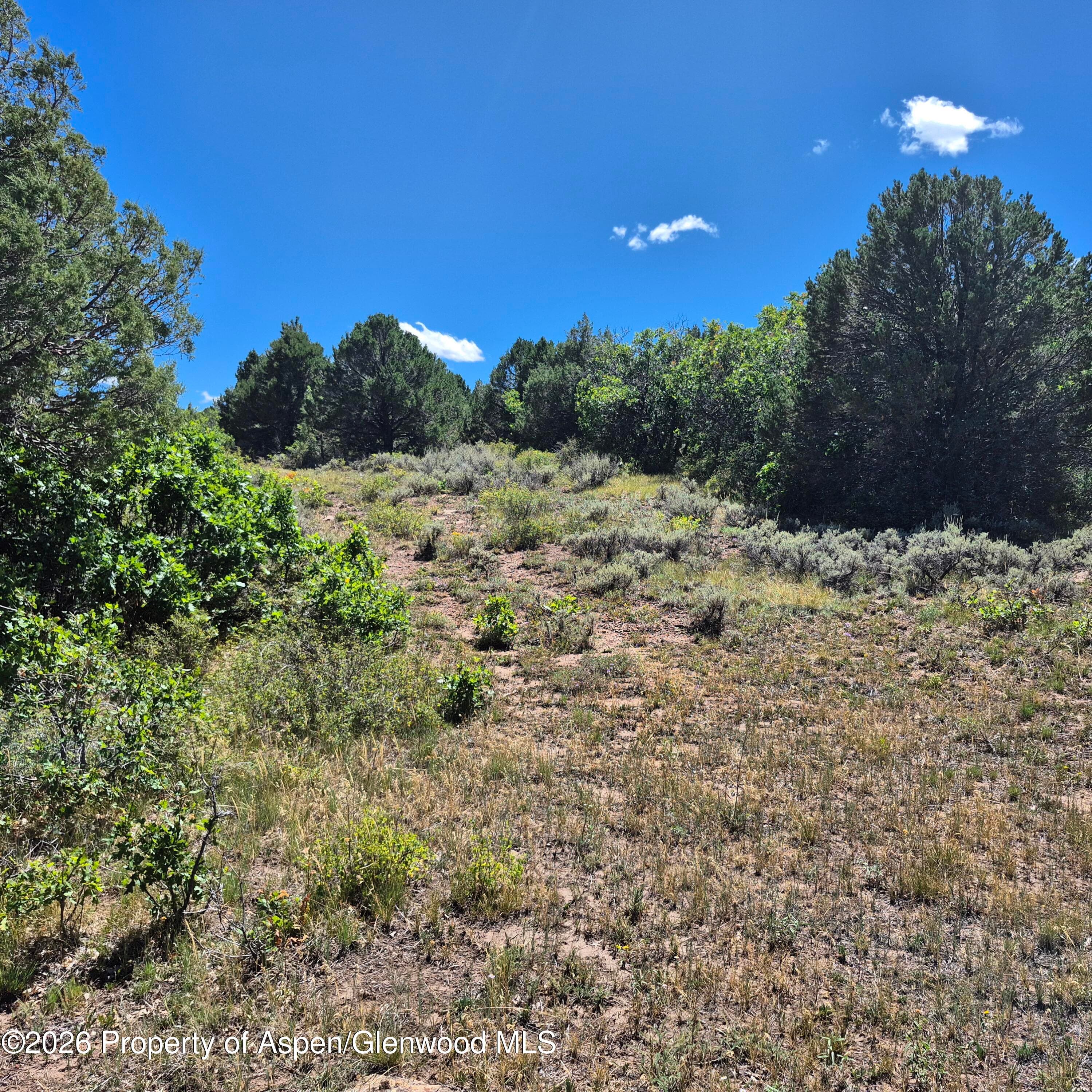 1620 Wildcat Canyon Road, Montrose, CO 81403 - Photo 16