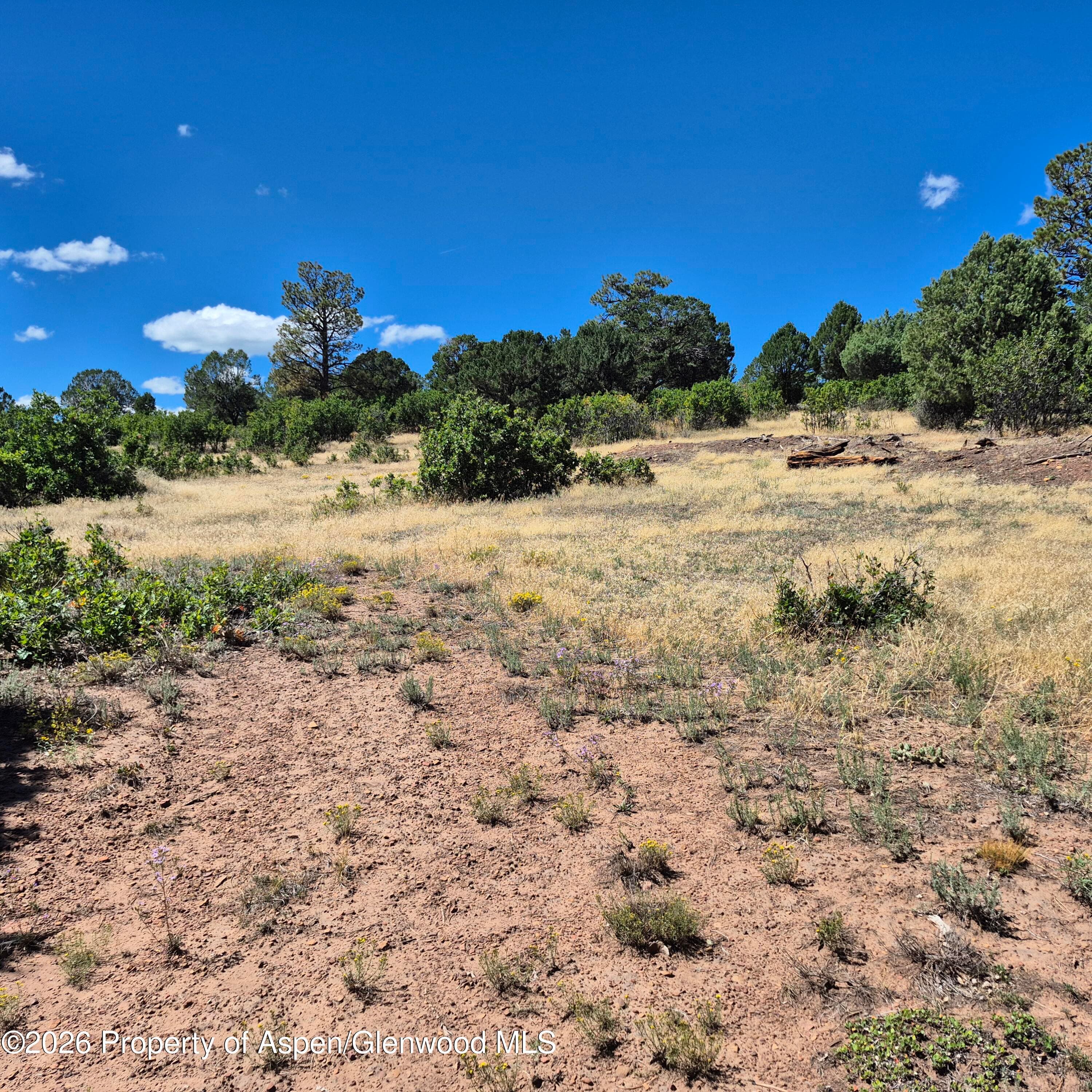 1620 Wildcat Canyon Road, Montrose, CO 81403 - Photo 17