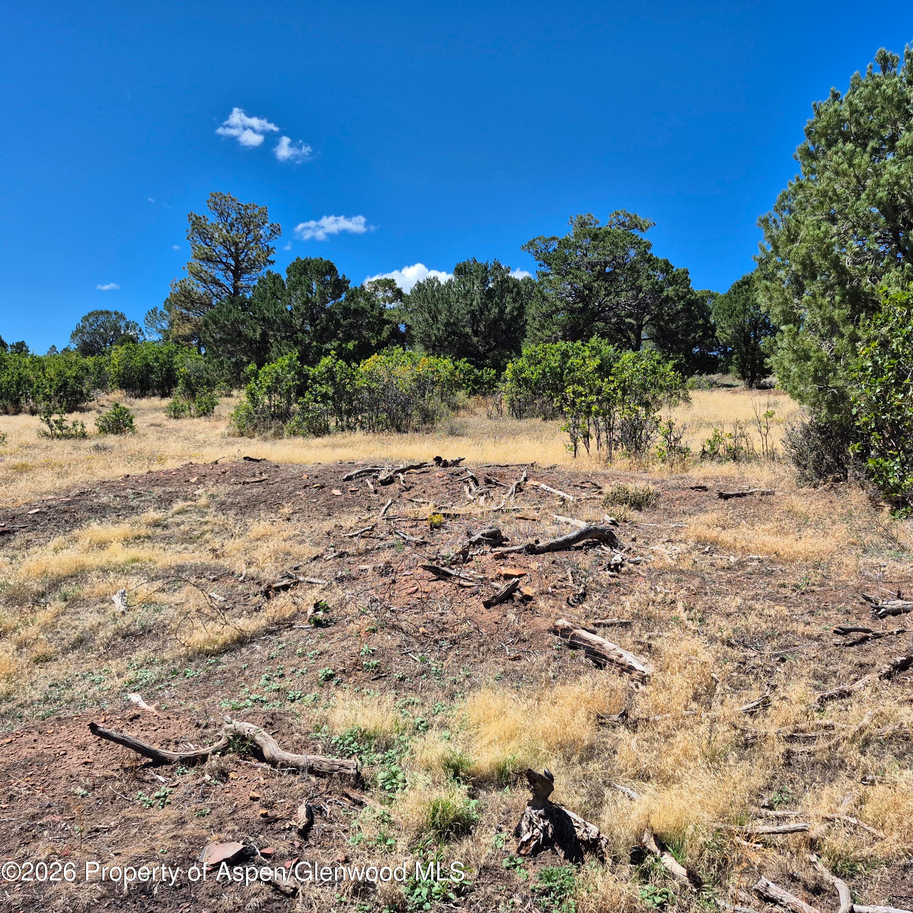 1620 Wildcat Canyon Road, Montrose, CO 81403 - Photo 18