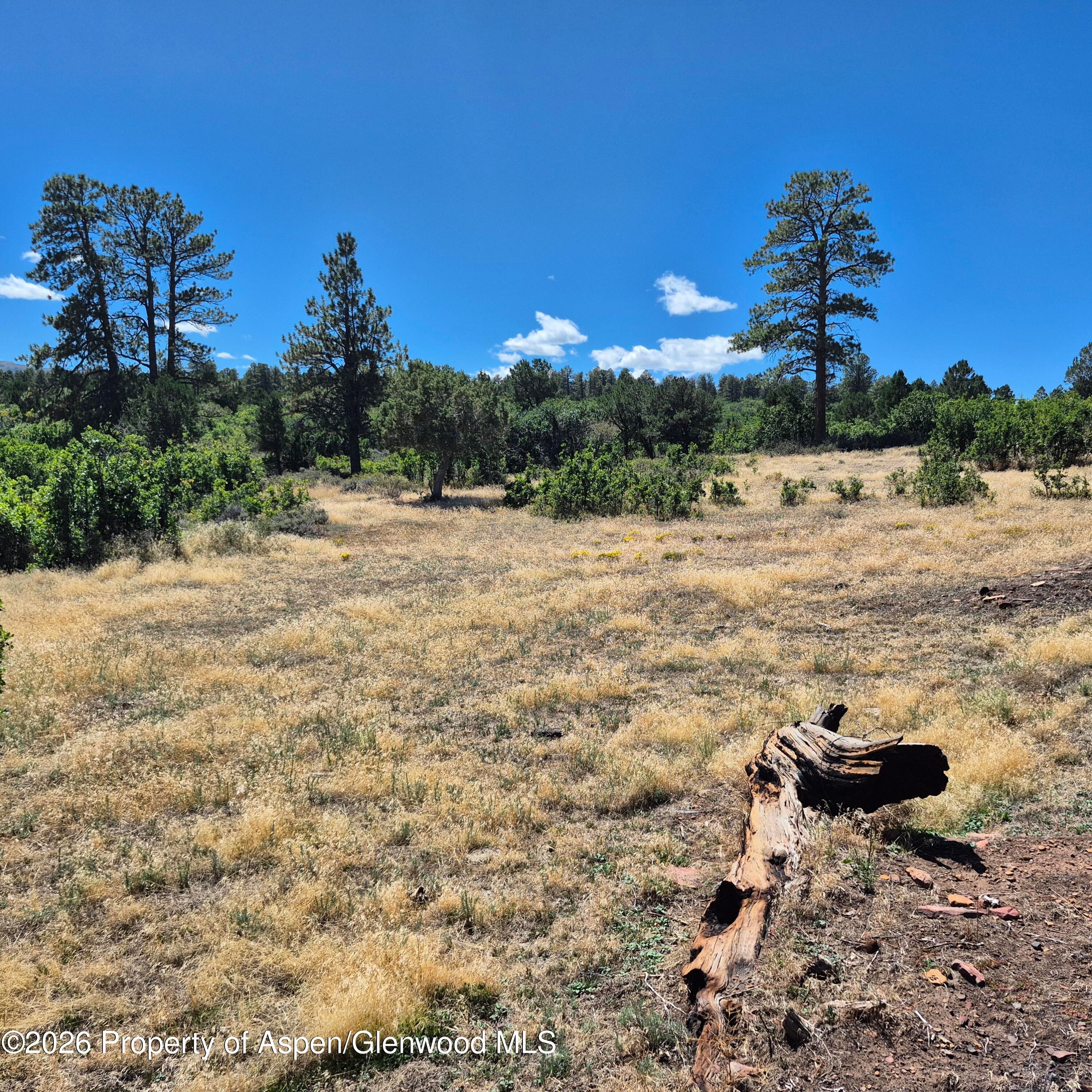1620 Wildcat Canyon Road, Montrose, CO 81403 - Photo 19