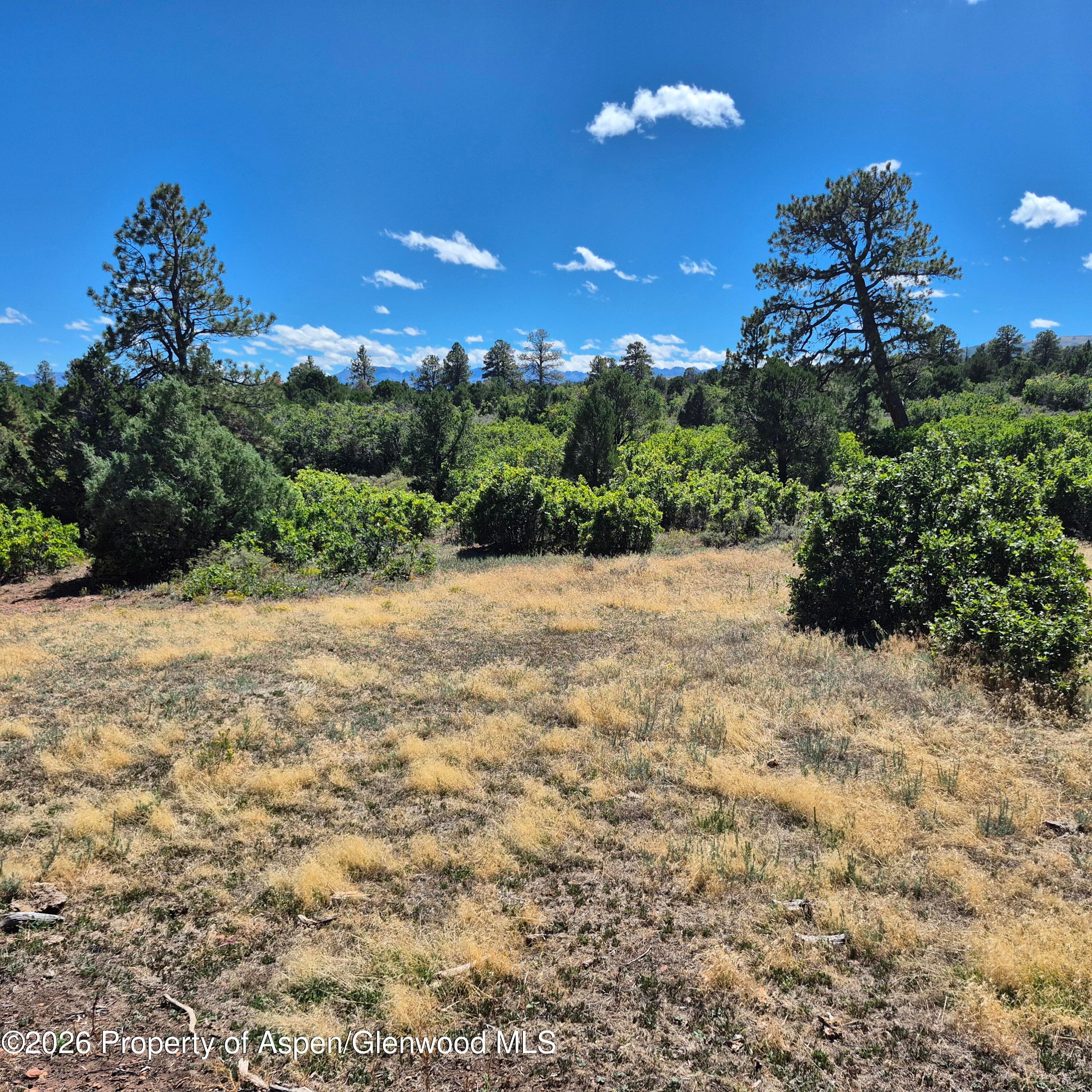 1620 Wildcat Canyon Road, Montrose, CO 81403 - Photo 20