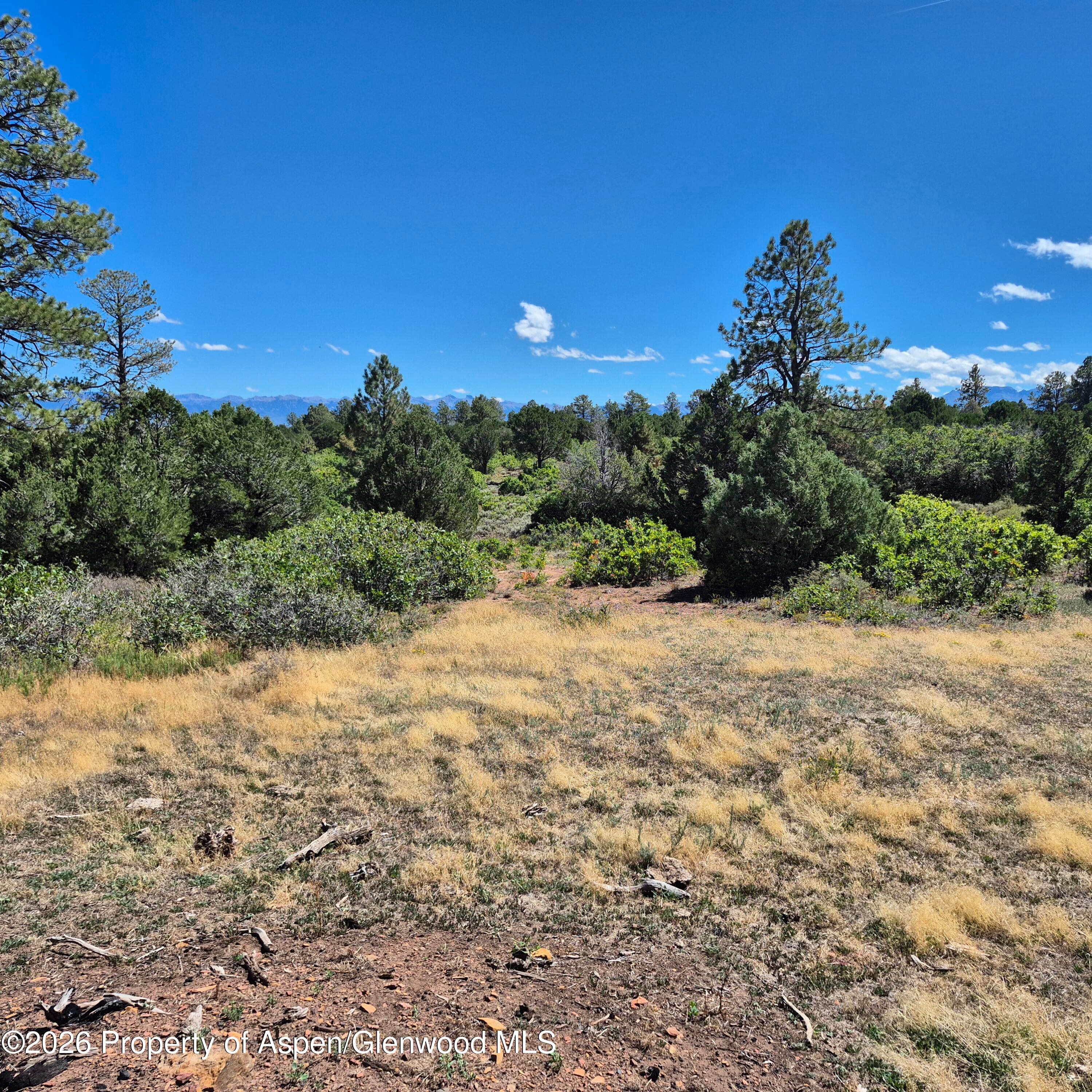 1620 Wildcat Canyon Road, Montrose, CO 81403 - Photo 21