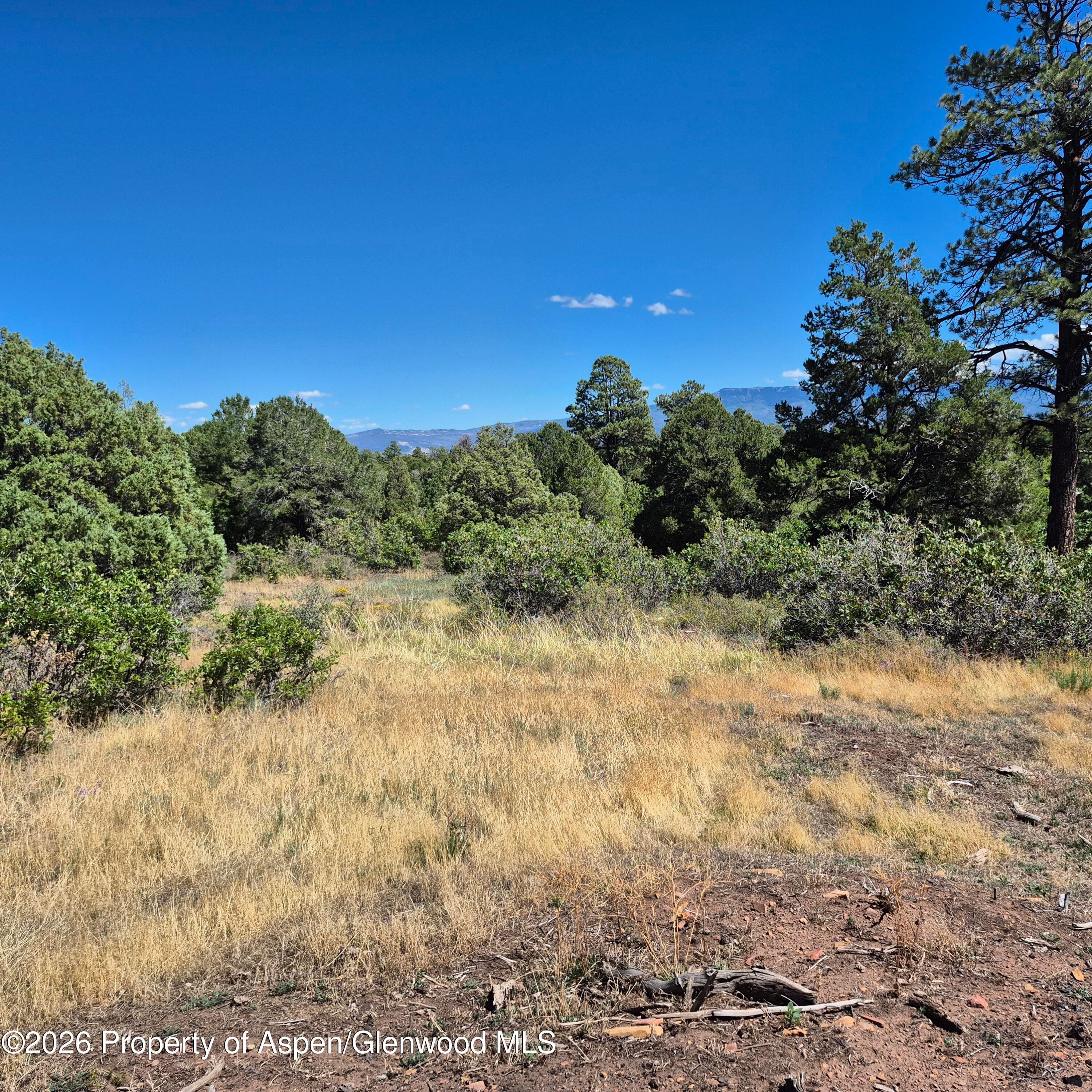 1620 Wildcat Canyon Road, Montrose, CO 81403 - Photo 22