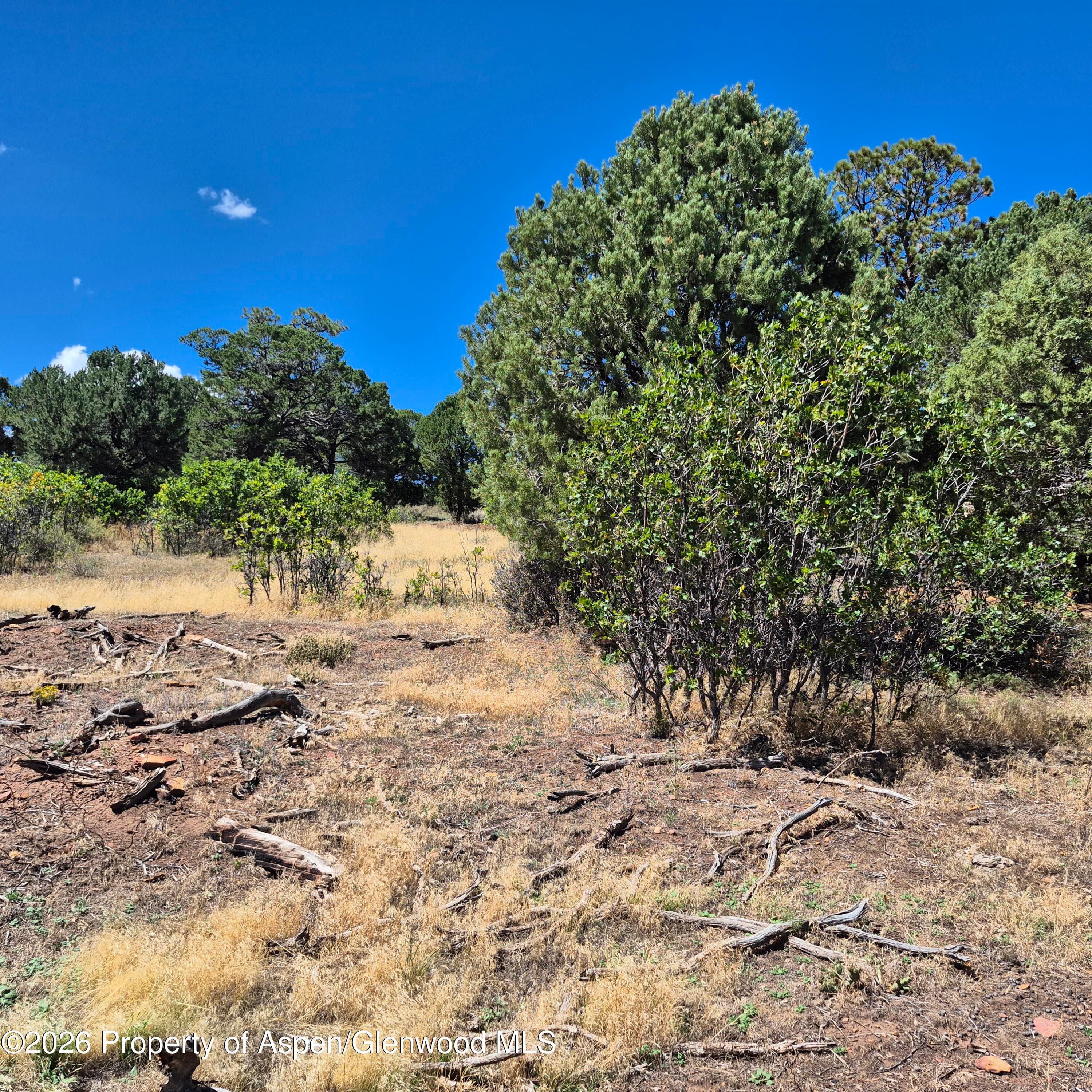 1620 Wildcat Canyon Road, Montrose, CO 81403 - Photo 23