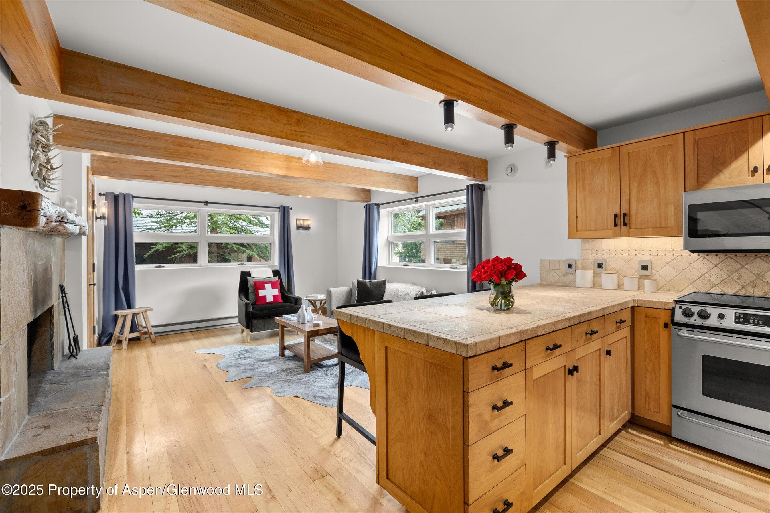 914 Waters Avenue 20, Aspen, CO 81611 - Photo 2