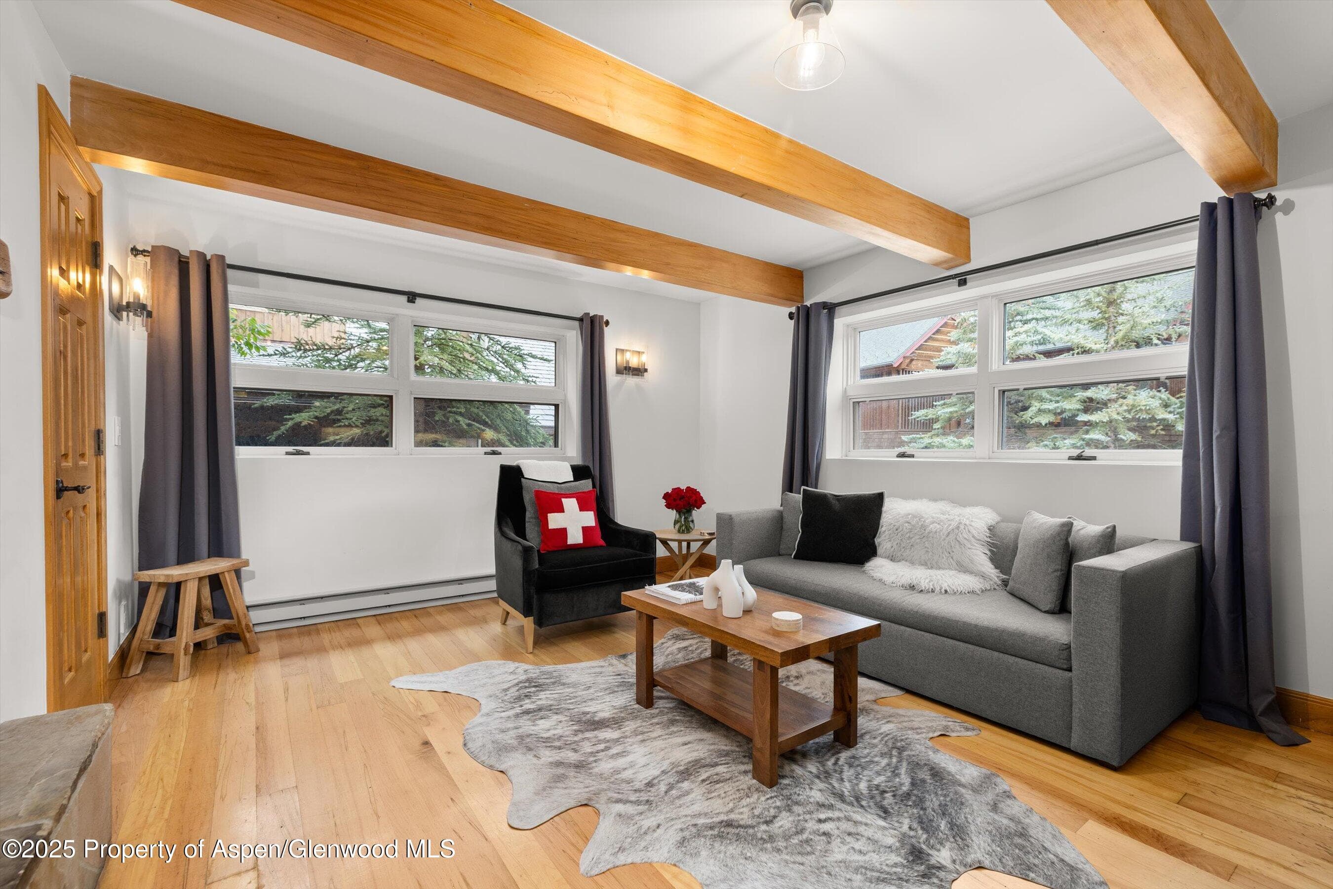914 Waters Avenue 20, Aspen, CO 81611 - Photo 3