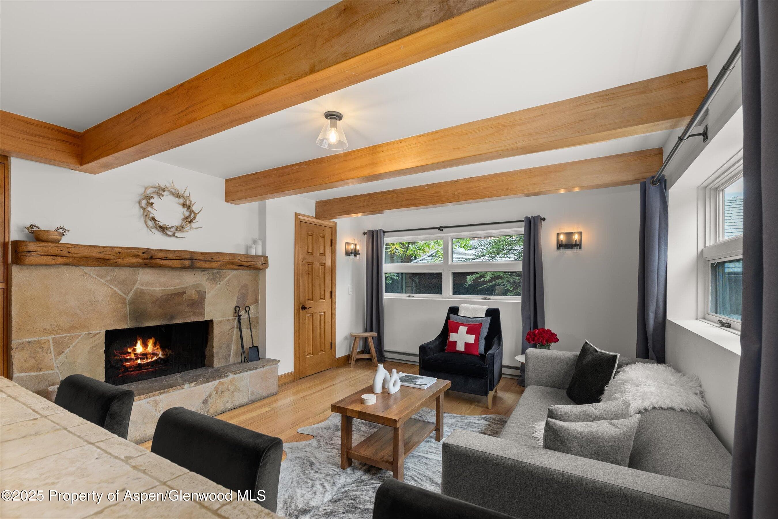 914 Waters Avenue 20, Aspen, CO 81611 - Photo 6