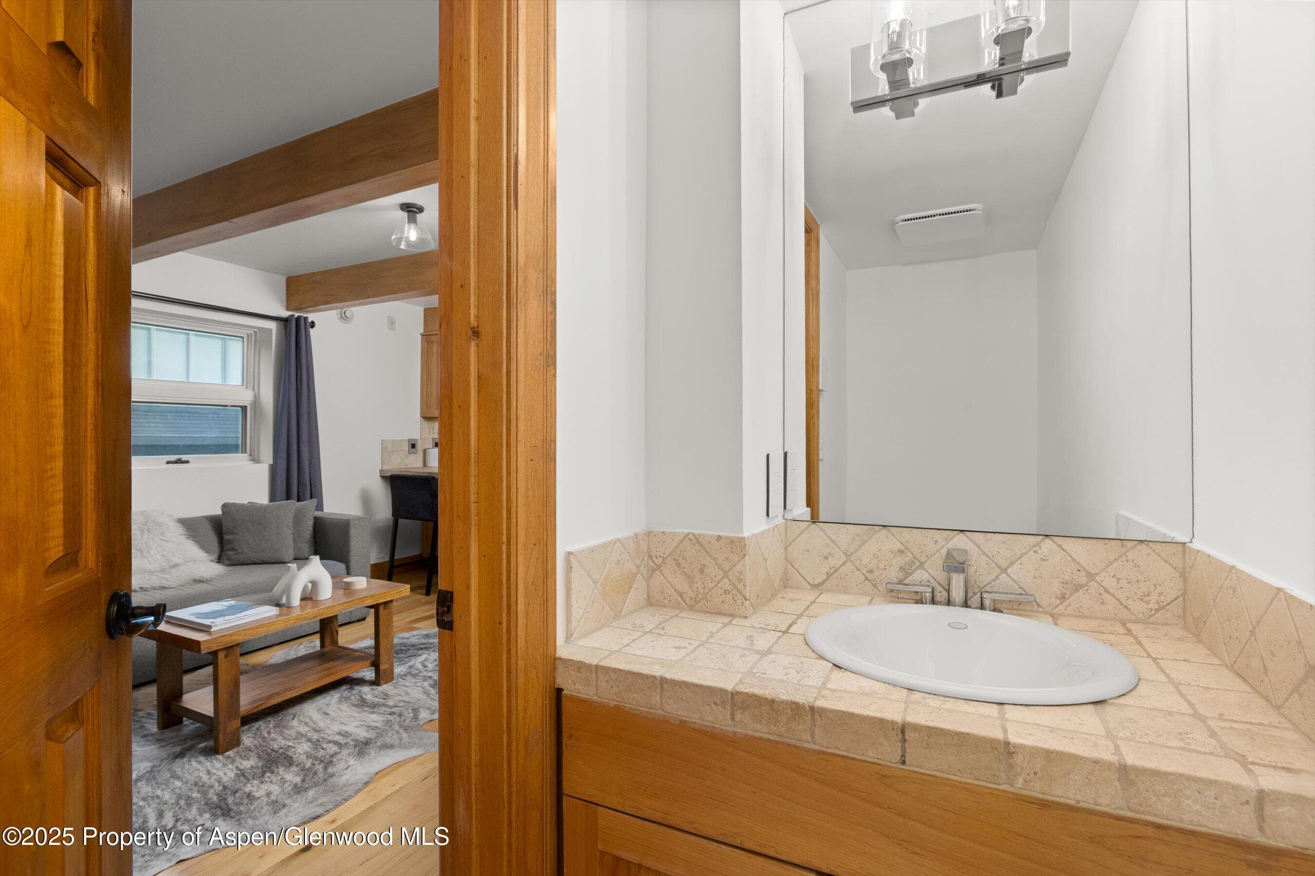 914 Waters Avenue 20, Aspen, CO 81611 - Photo 7