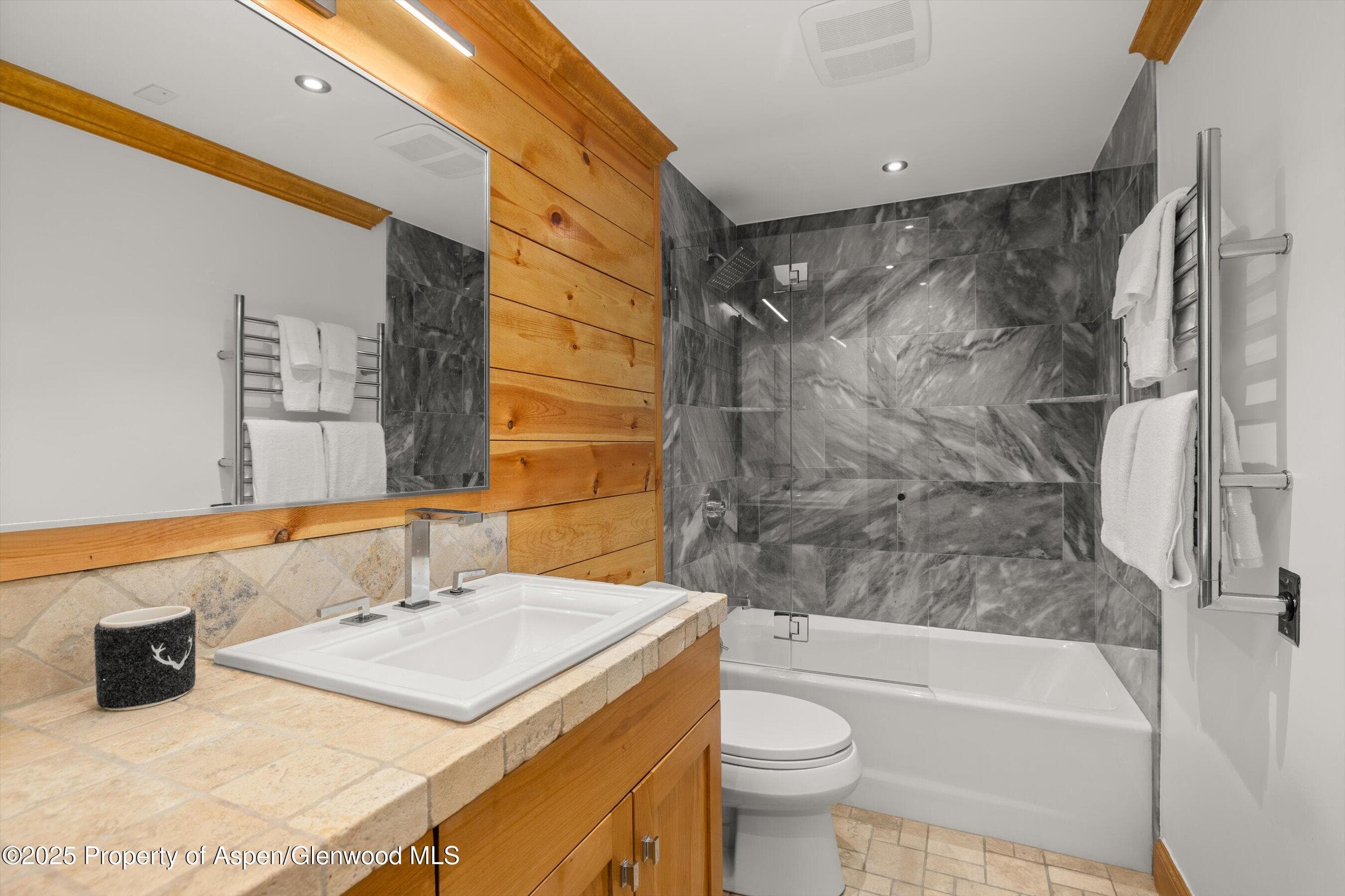 914 Waters Avenue 20, Aspen, CO 81611 - Photo 8