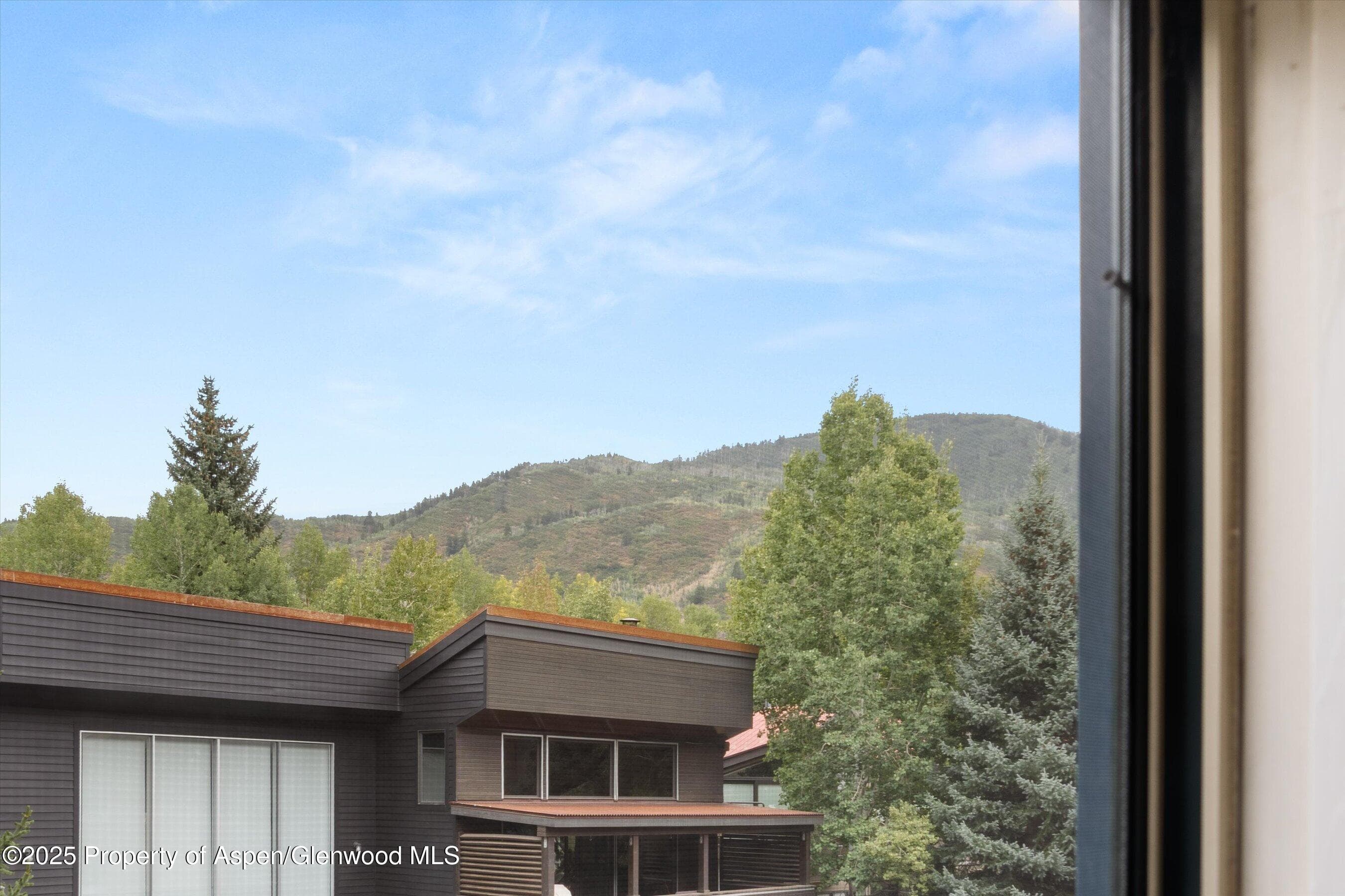914 Waters Avenue 20, Aspen, CO 81611 - Photo 13