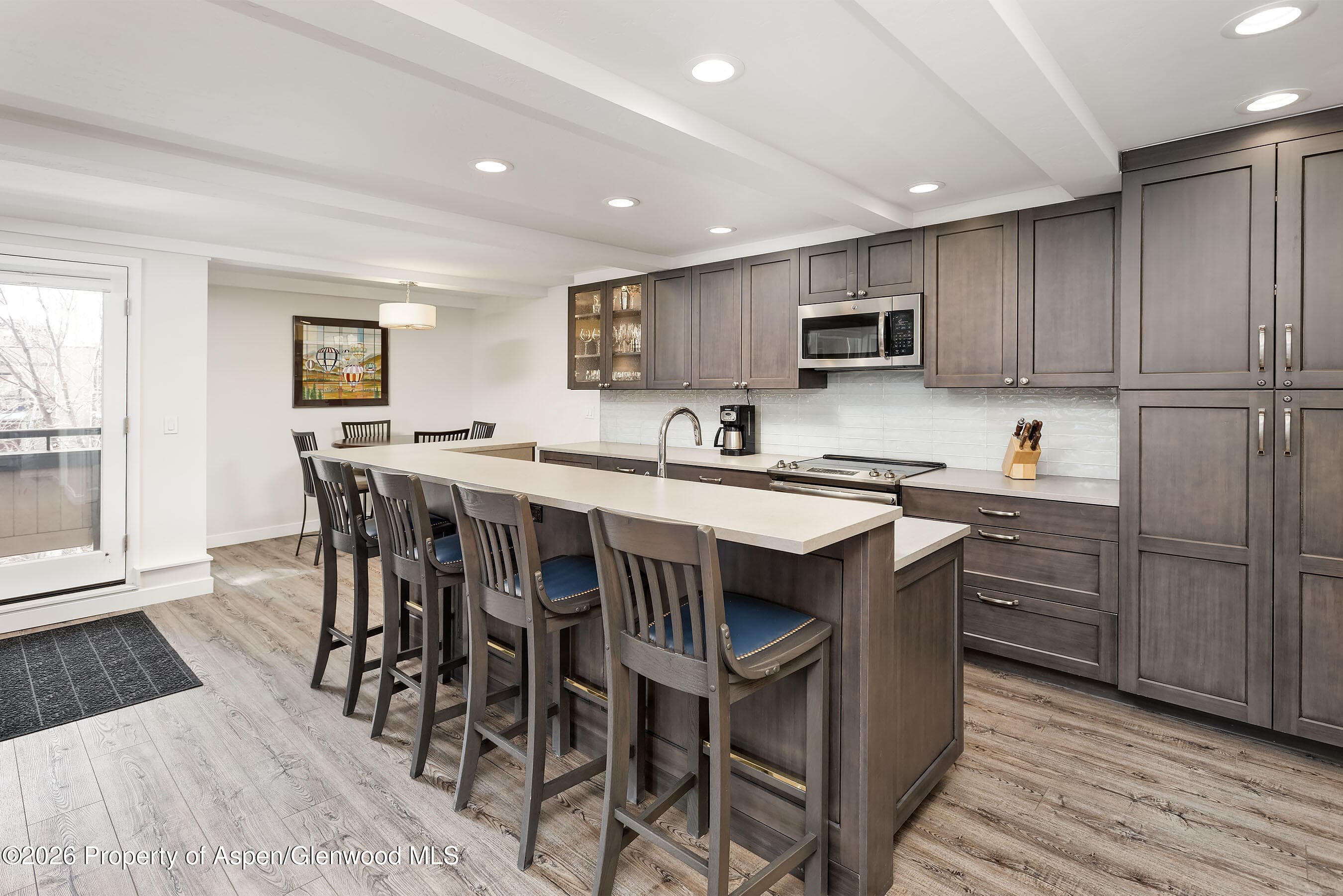 600 E Main Street 310, Aspen, CO 81611 - Photo 3