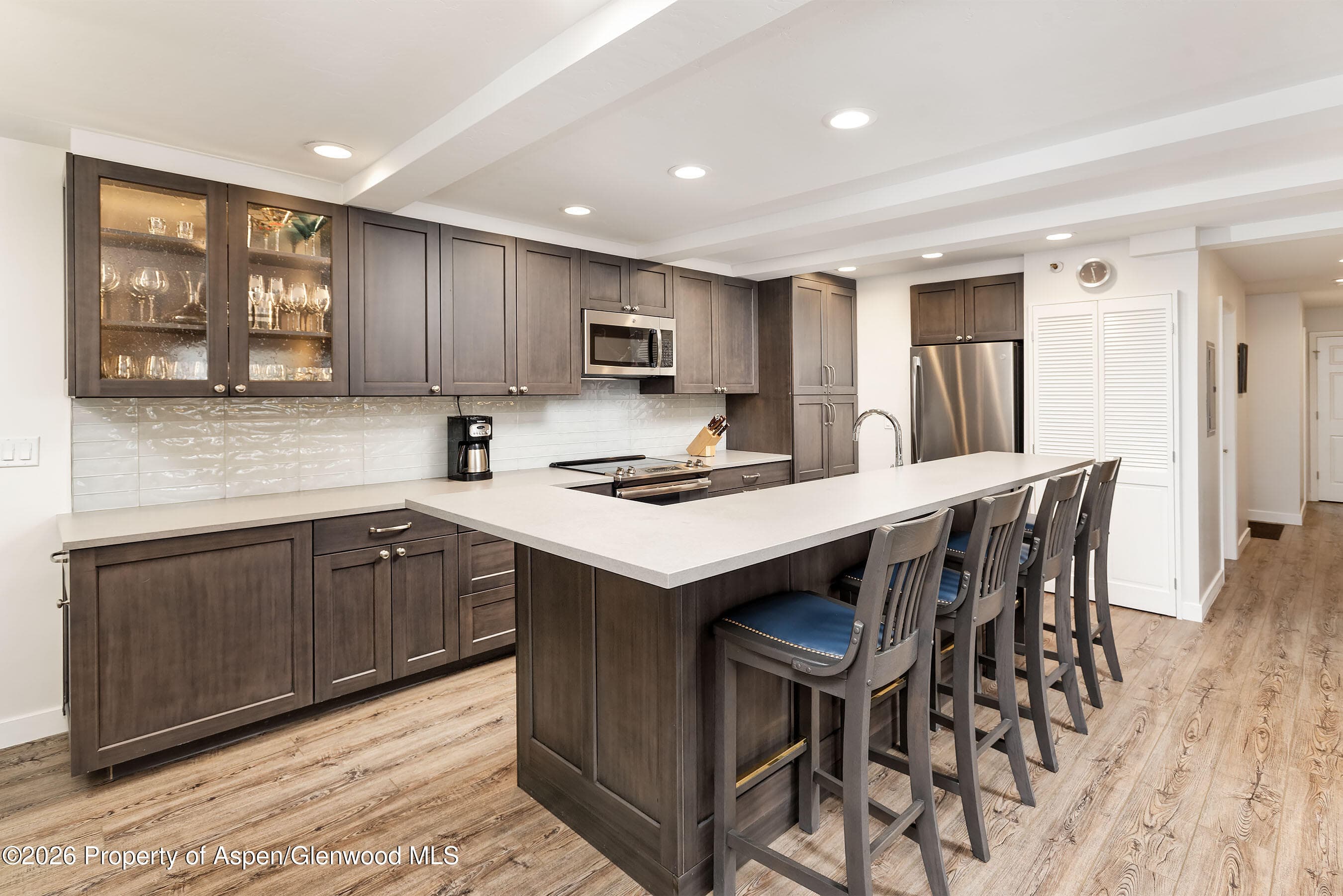 600 E Main Street 310, Aspen, CO 81611 - Photo 4