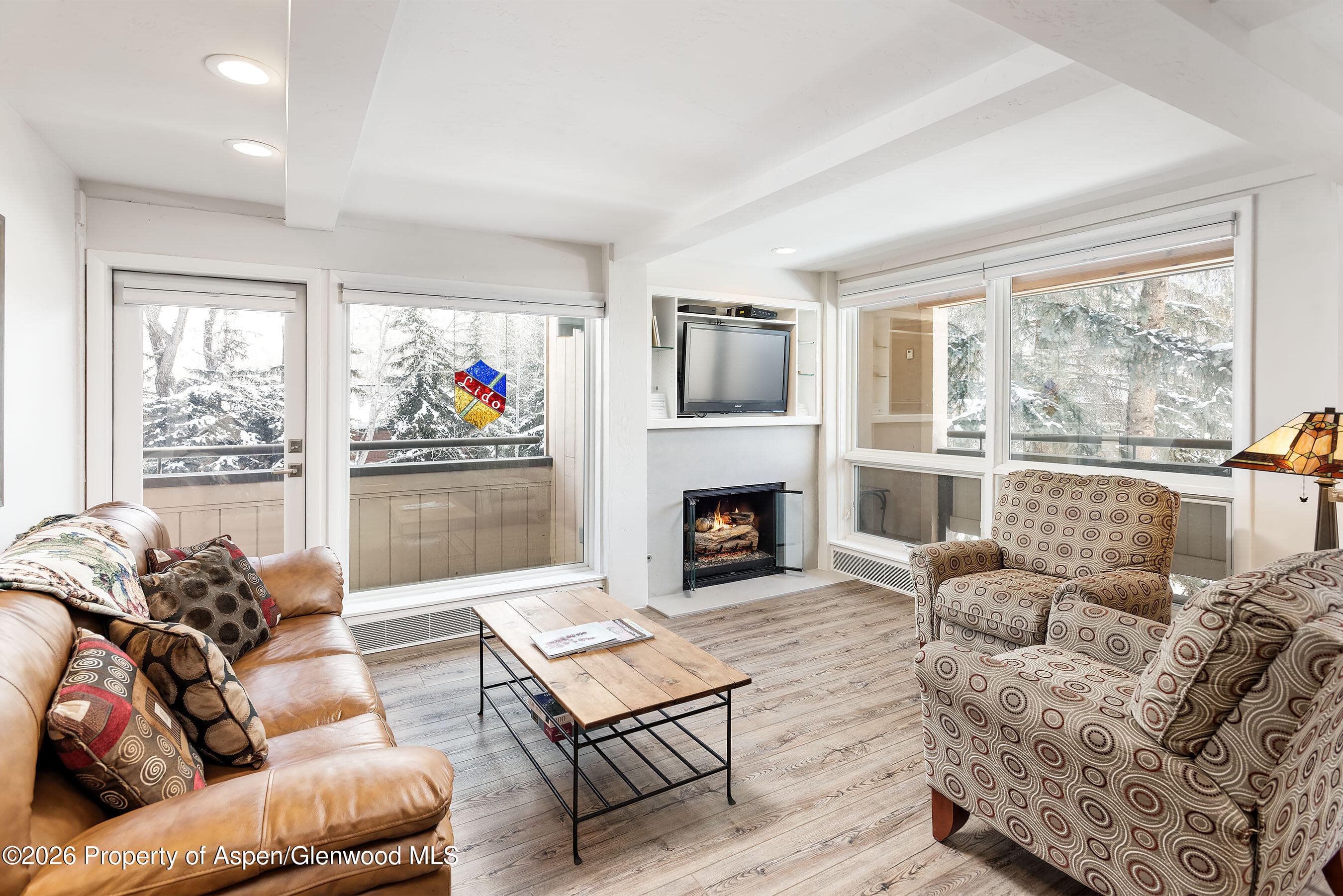 600 E Main Street 310, Aspen, CO 81611 - Photo 5