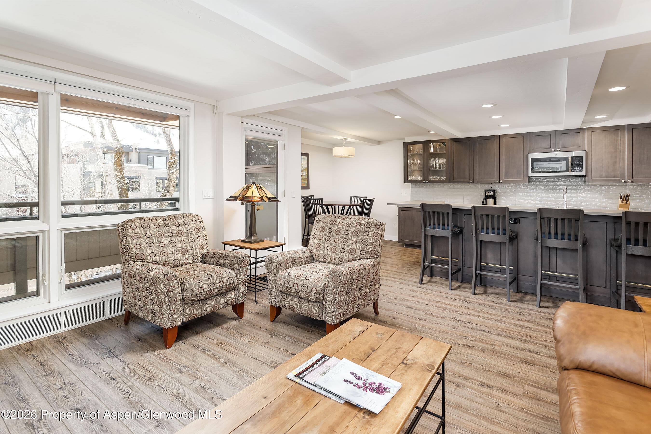 600 E Main Street 310, Aspen, CO 81611 - Photo 6