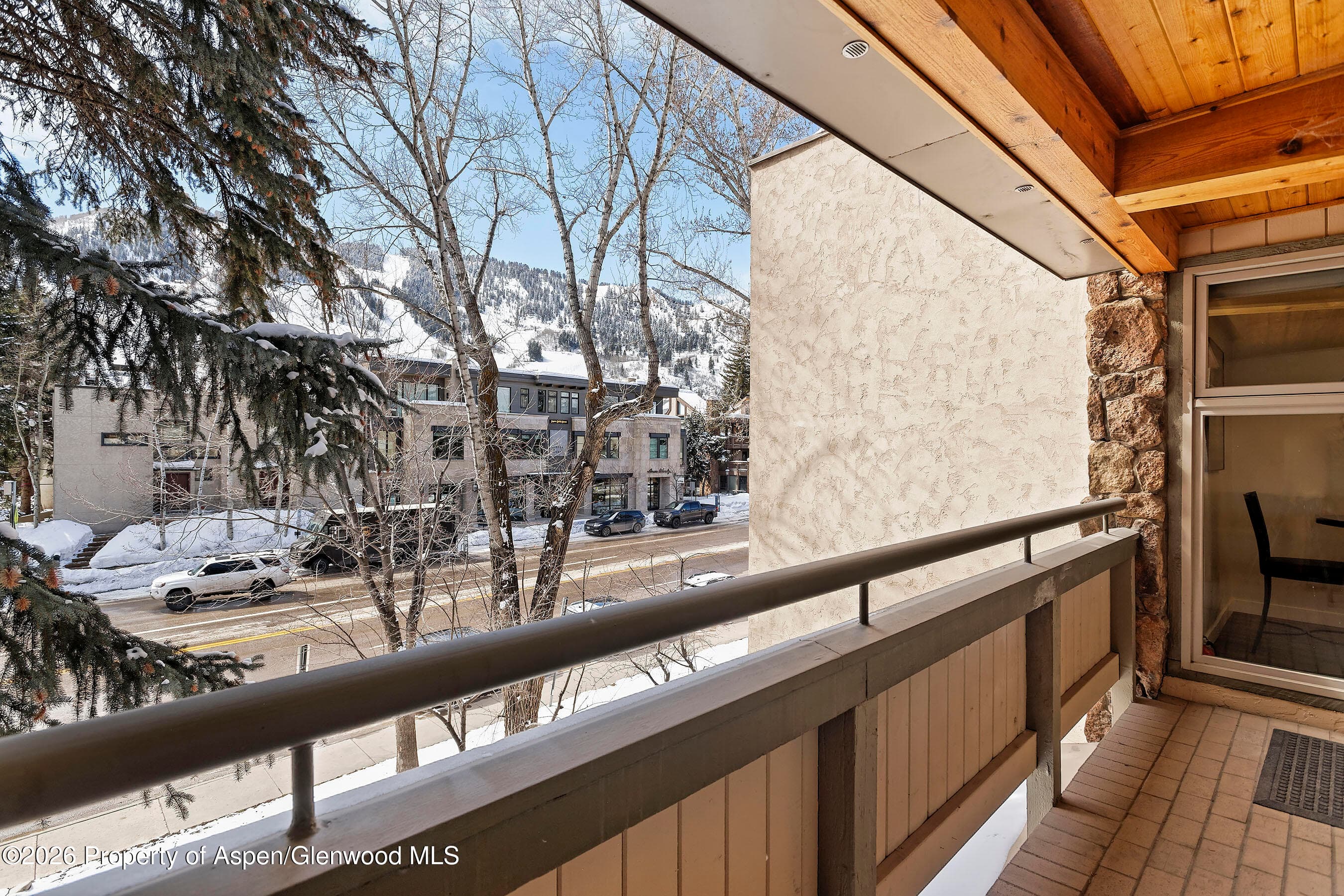 600 E Main Street 310, Aspen, CO 81611 - Photo 7