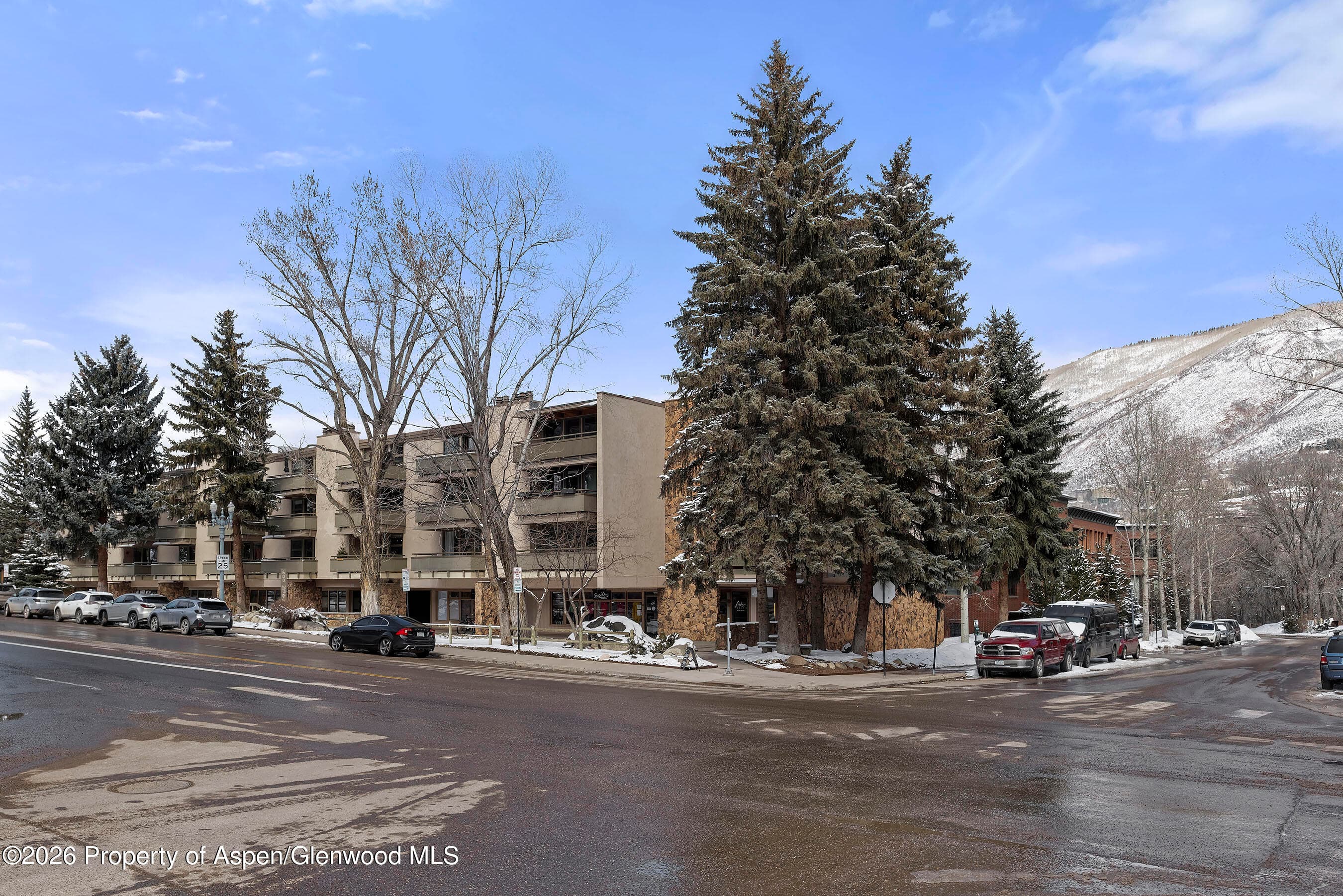 600 E Main Street 310, Aspen, CO 81611 - Photo 11