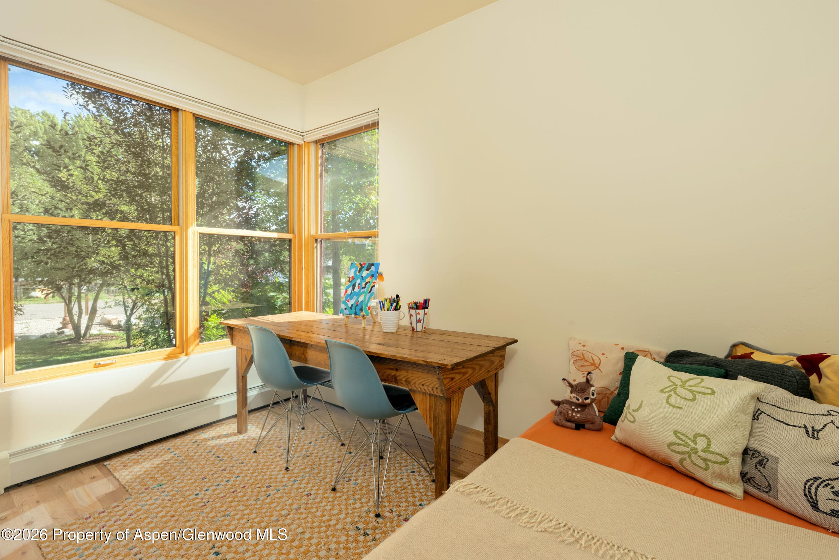 660 Lincoln Avenue, Carbondale, CO 81623 - Photo 14