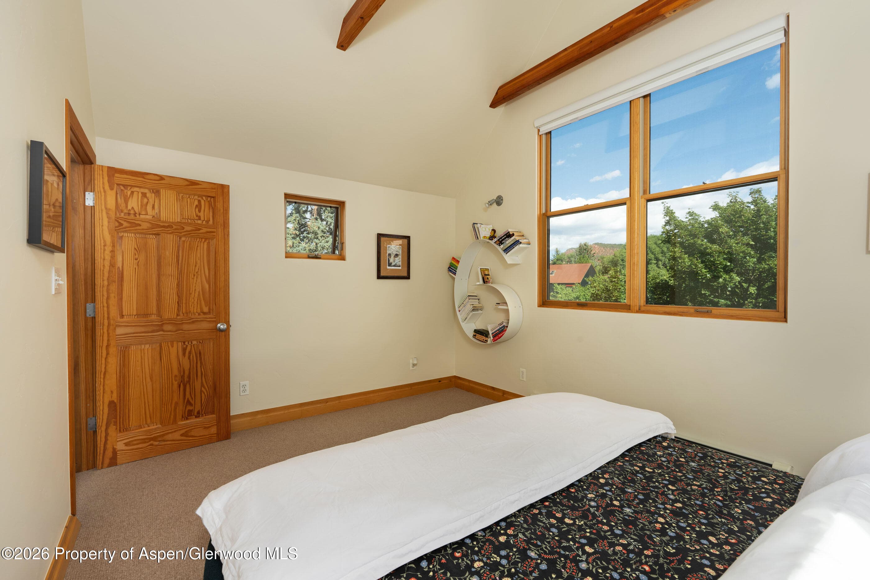 660 Lincoln Avenue, Carbondale, CO 81623 - Photo 10