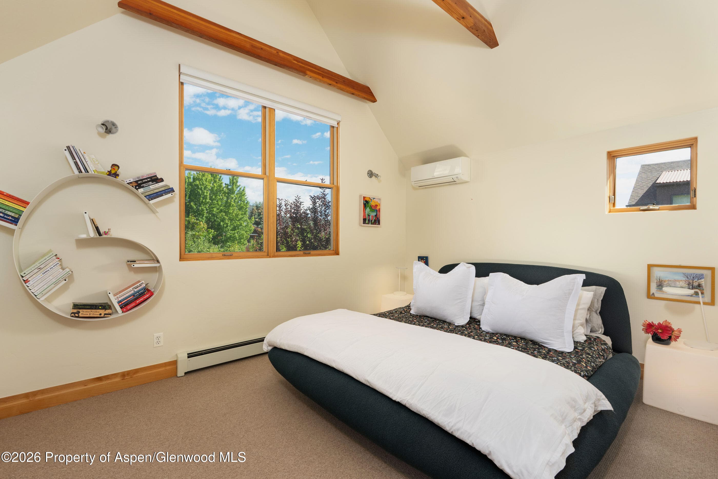 660 Lincoln Avenue, Carbondale, CO 81623 - Photo 9