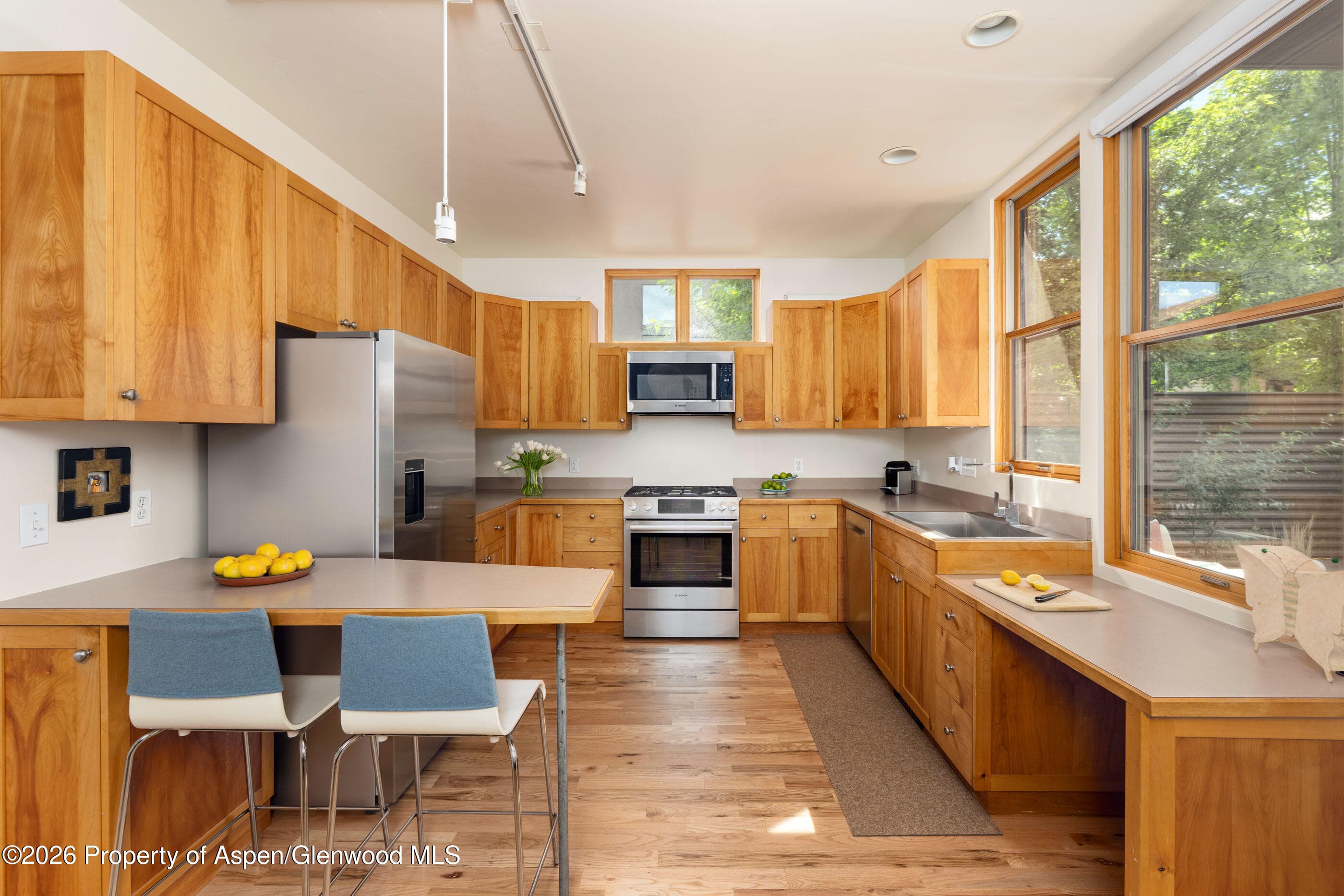 660 Lincoln Avenue, Carbondale, CO 81623 - Photo 8