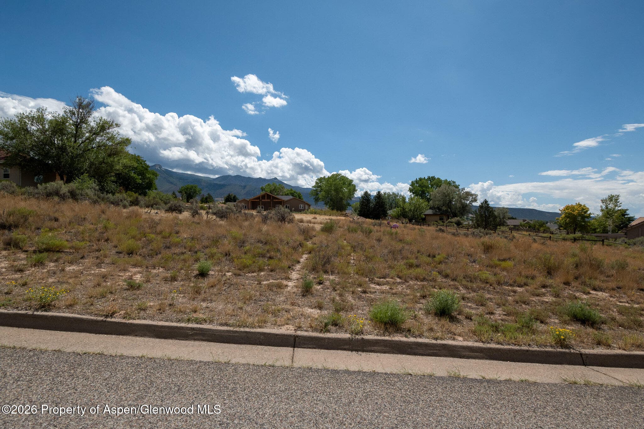 294 Battlement Creek Trail, Battlement Mesa, CO 81635 - Photo 10