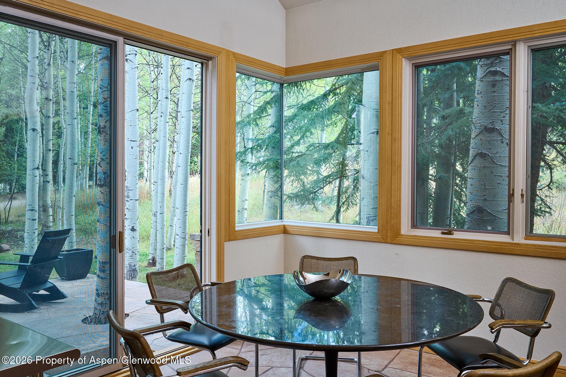 405 Glen Eagles Road, Aspen, CO 81611 - Photo 15